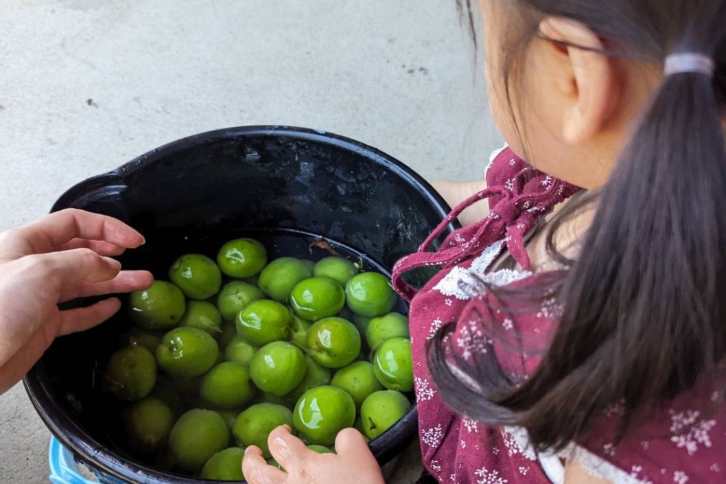 1番目のメイン画像