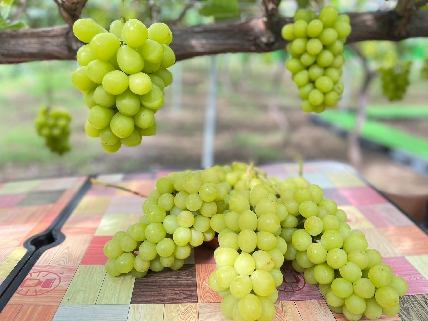 4番目のメイン画像