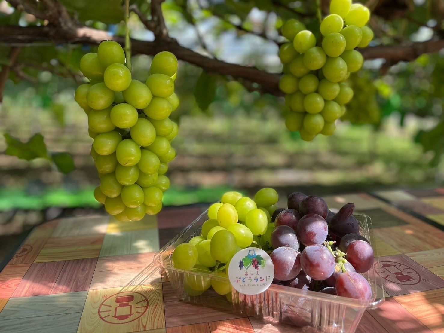 2番目のメイン画像