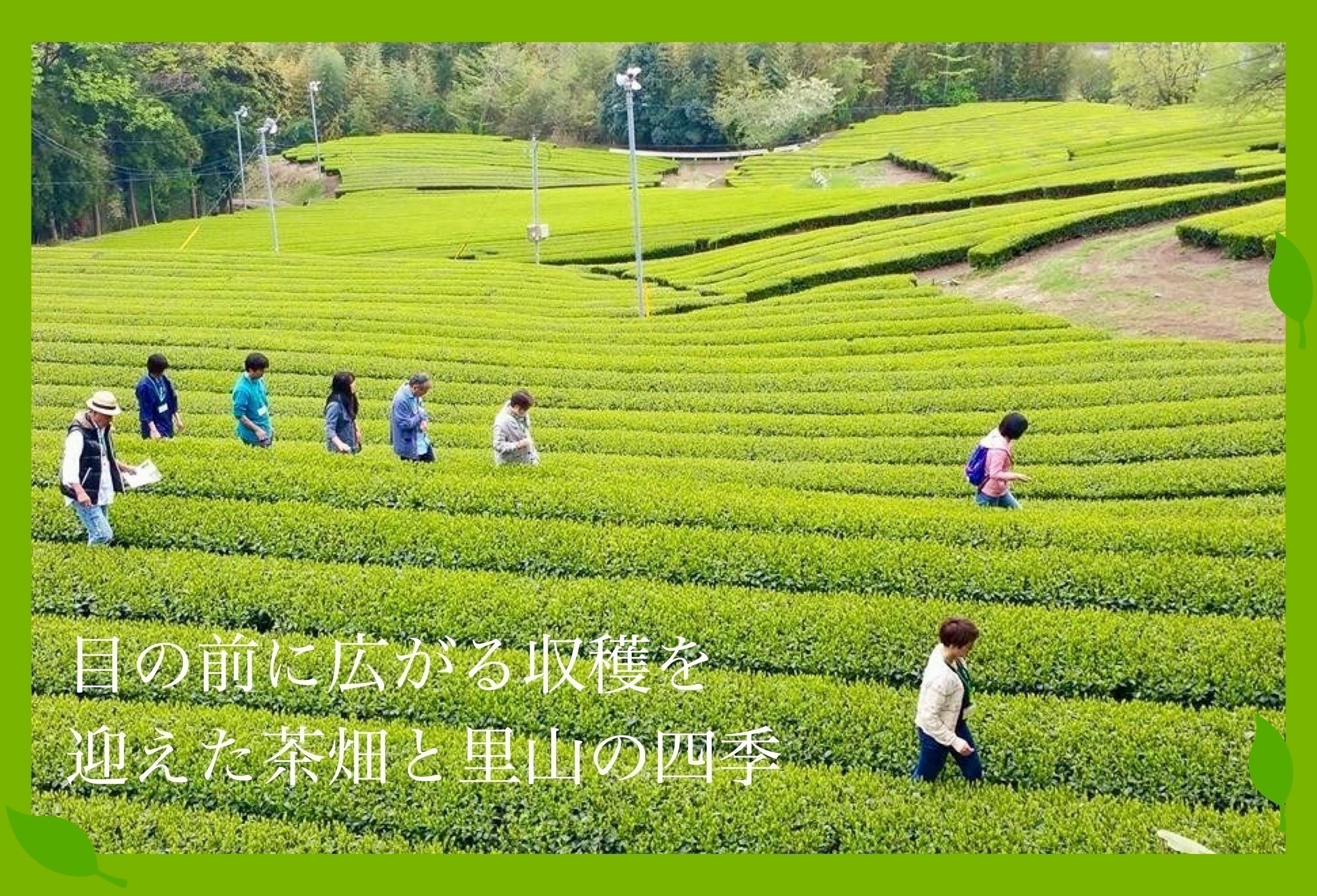 4番目のメイン画像