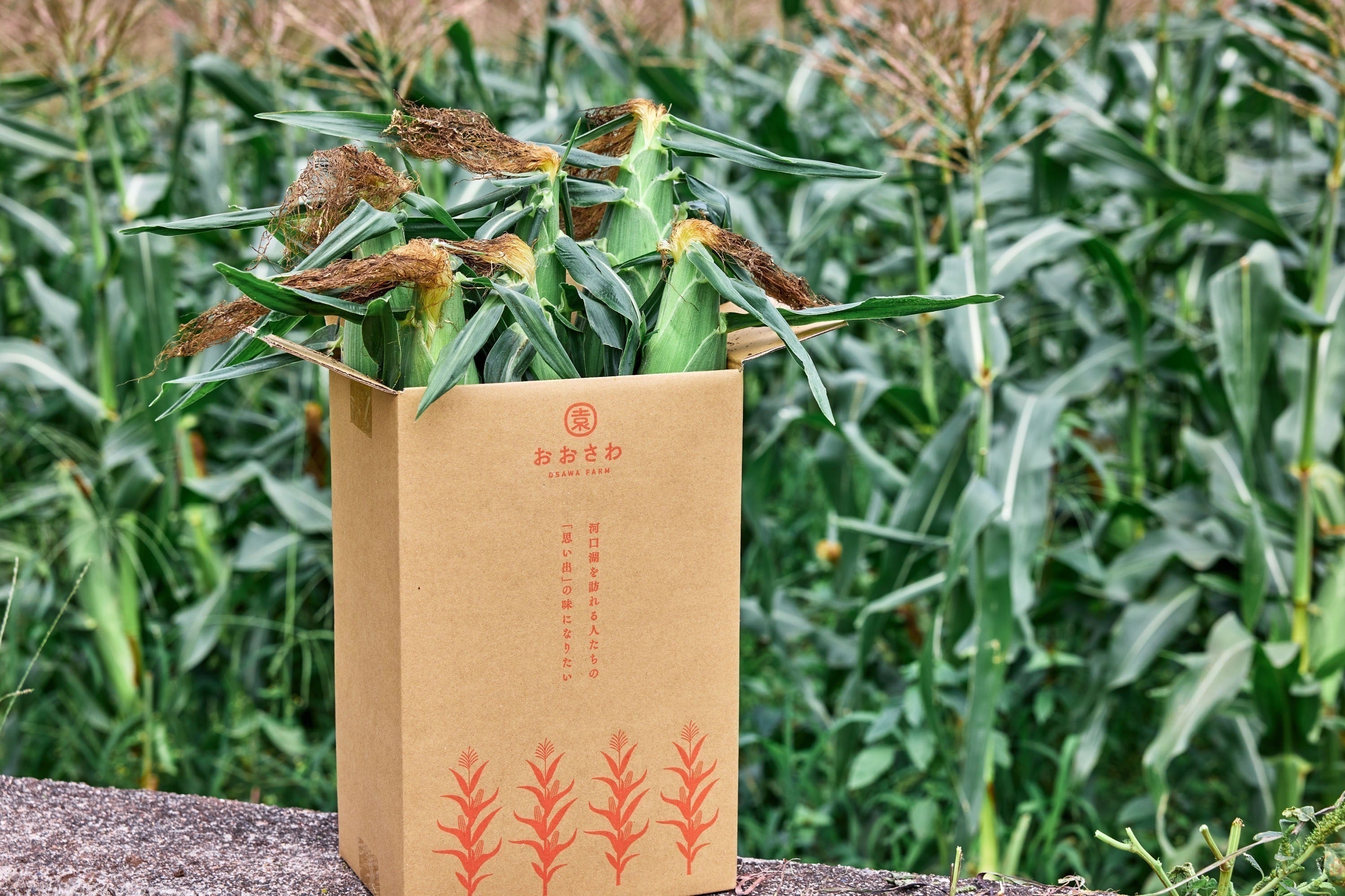 3番目のメイン画像