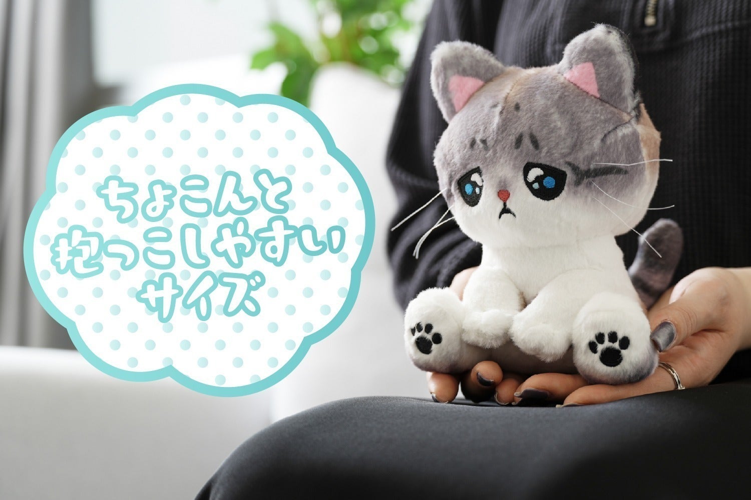 5番目のメイン画像