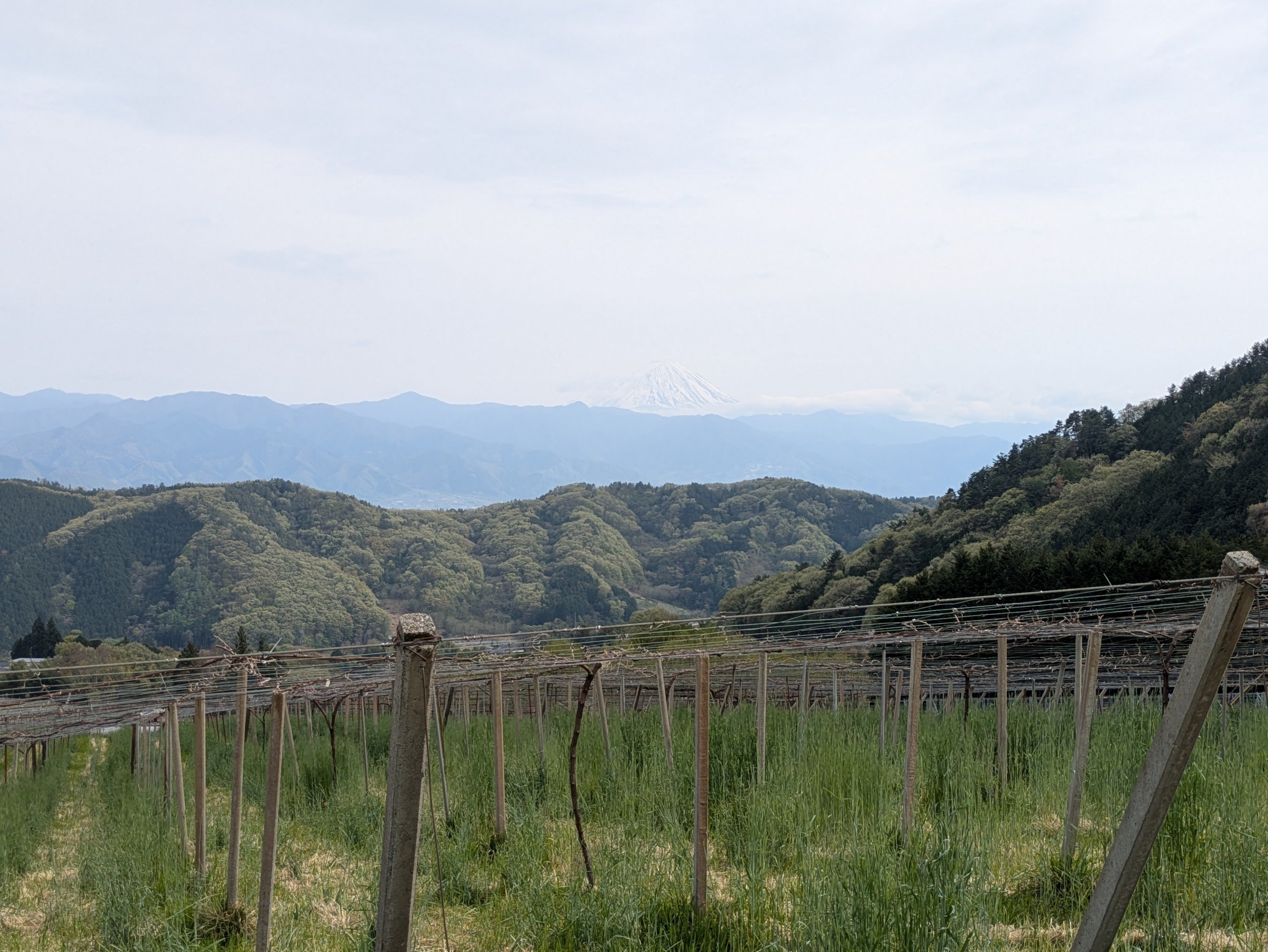 4番目のメイン画像