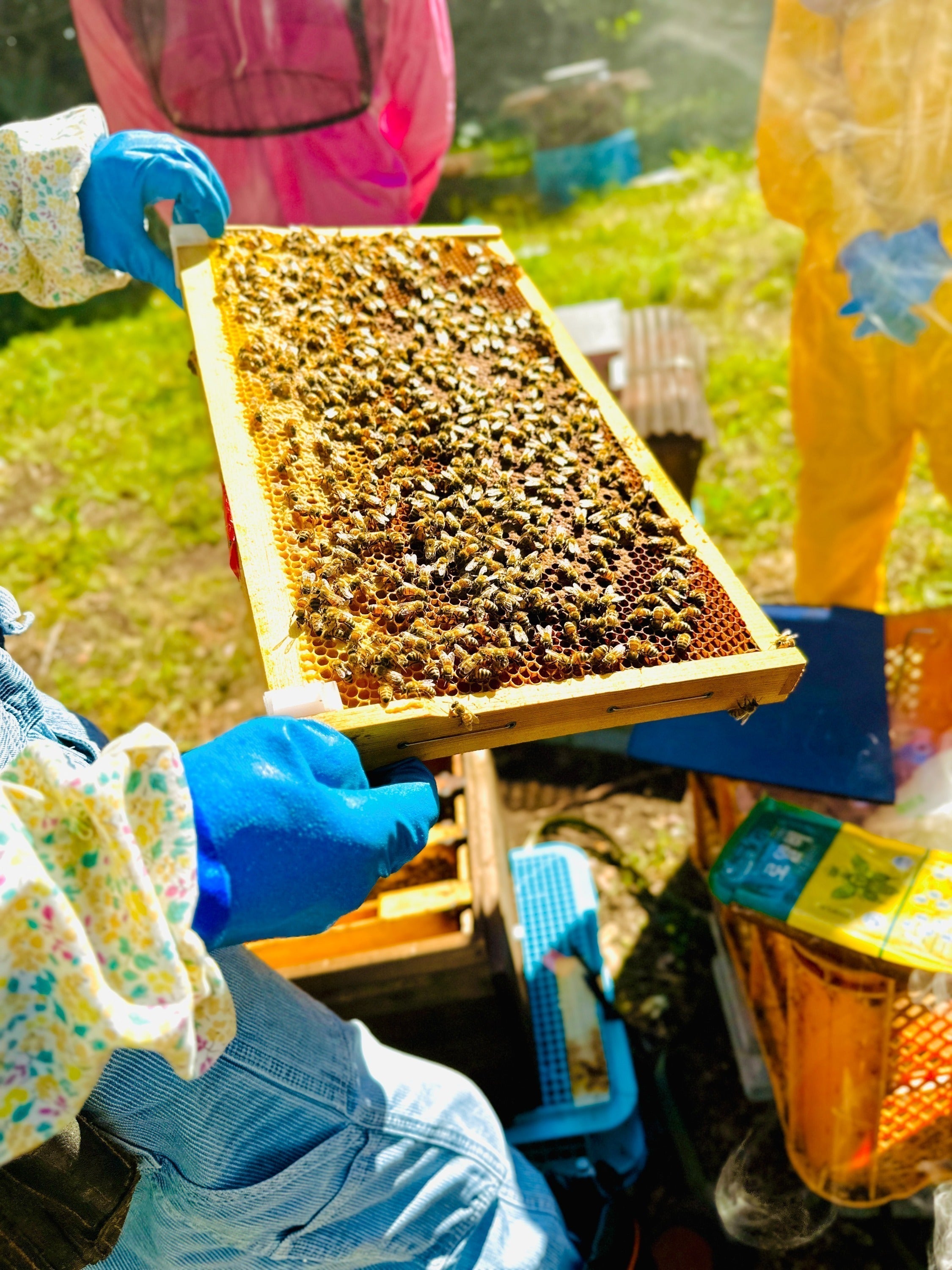 3番目のメイン画像