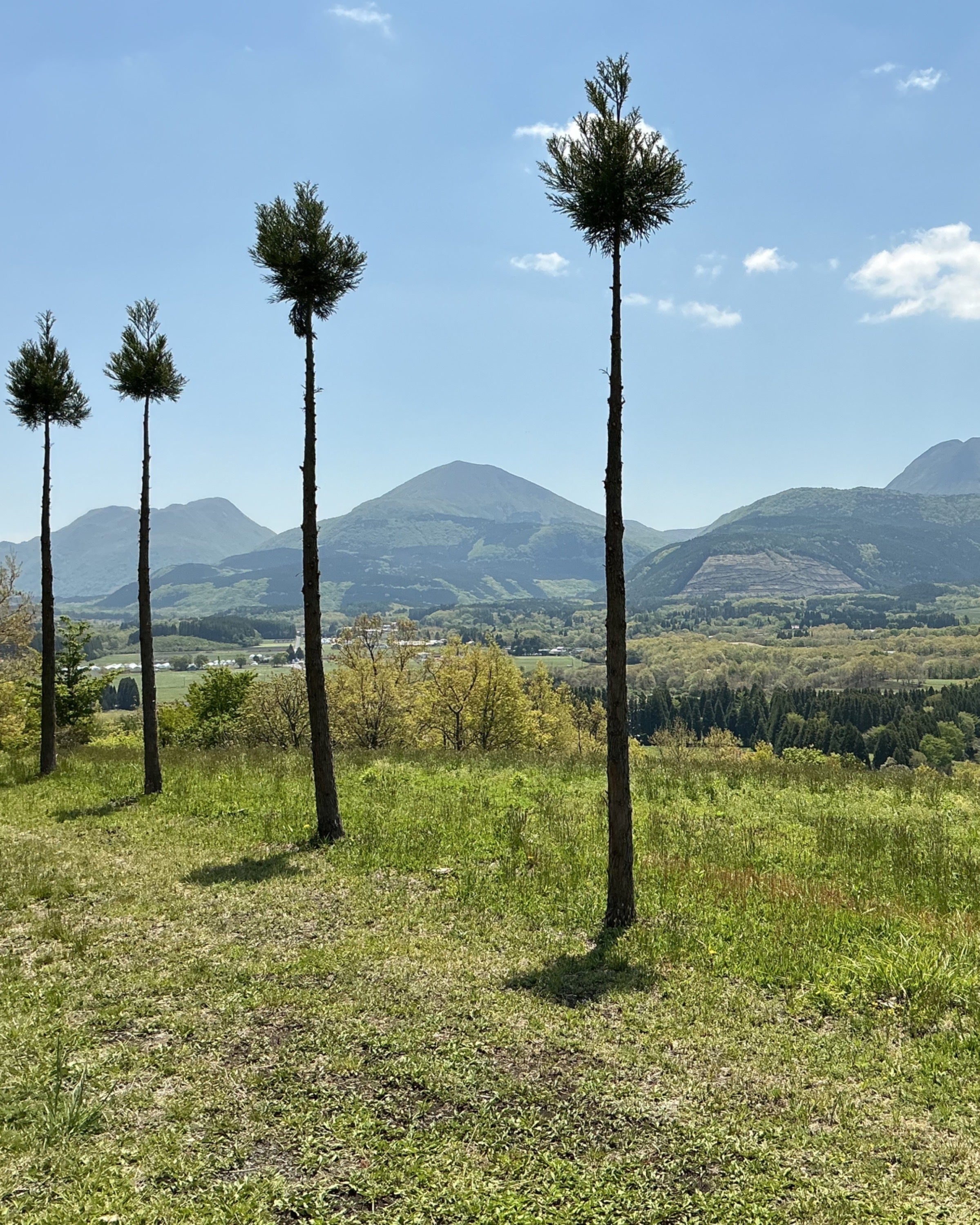 5番目のメイン画像