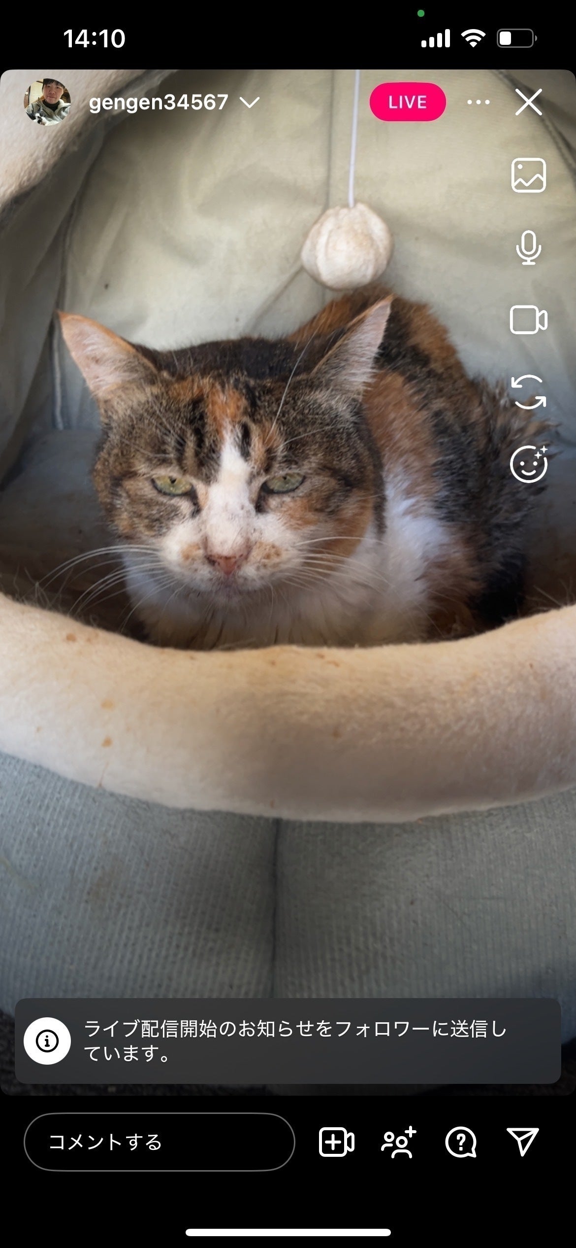 3番目のメイン画像