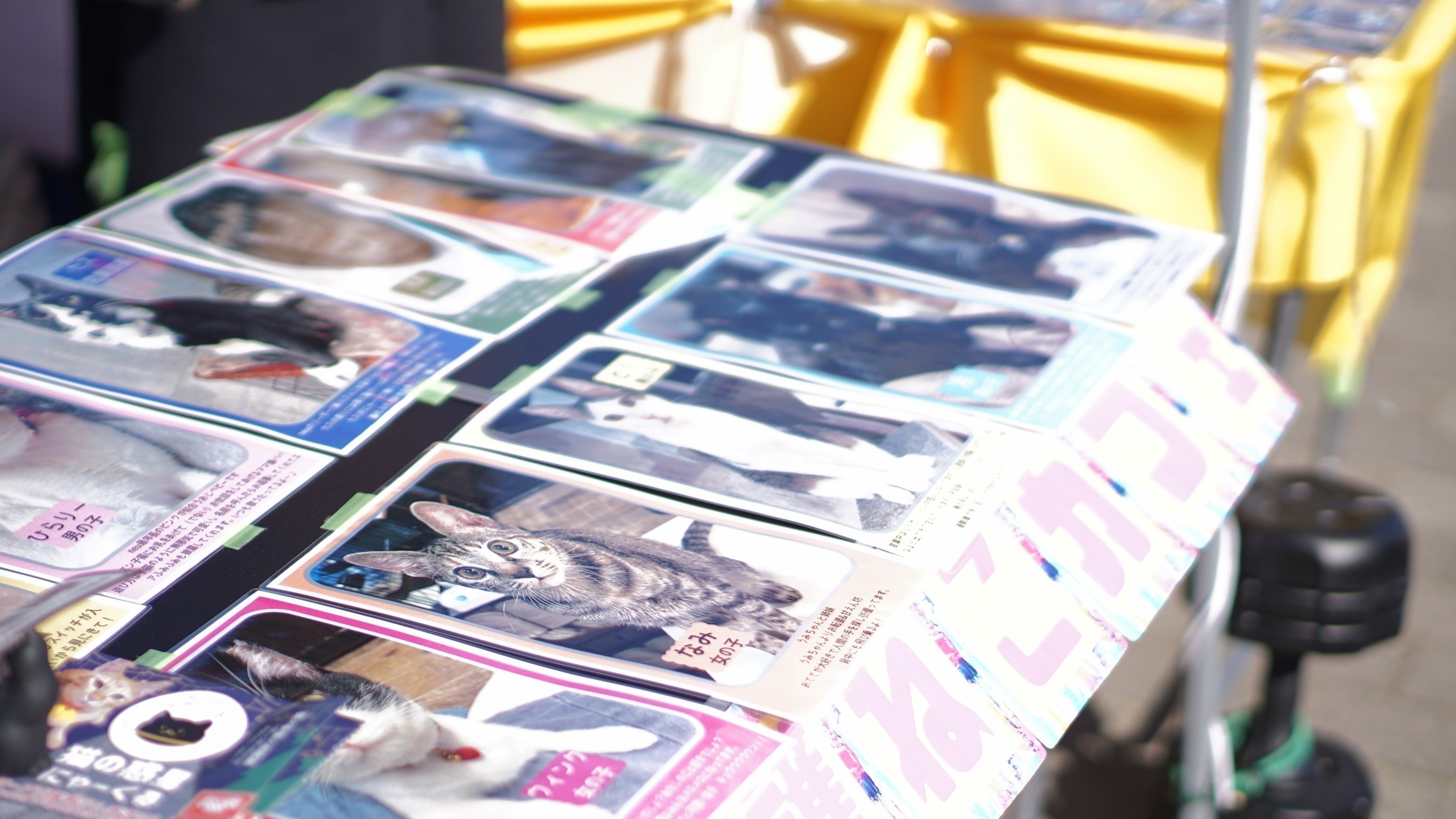 4番目のメイン画像