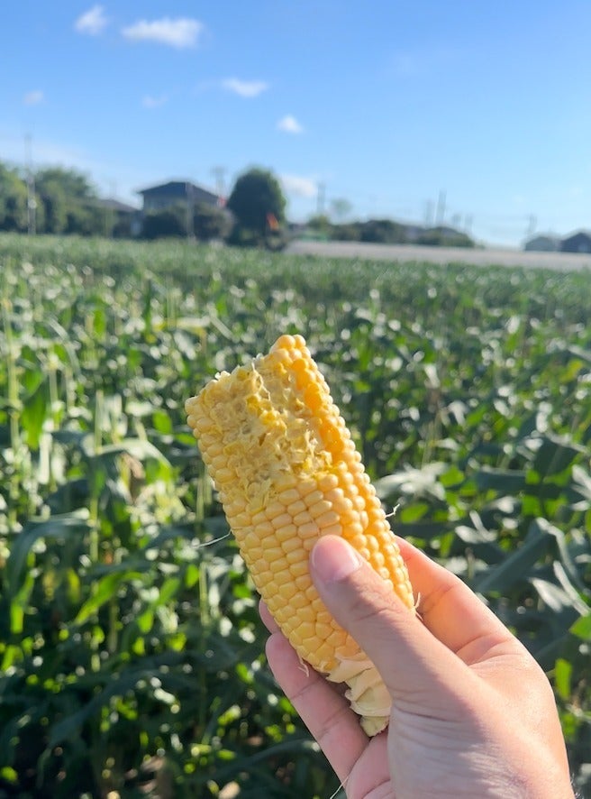 5番目のメイン画像