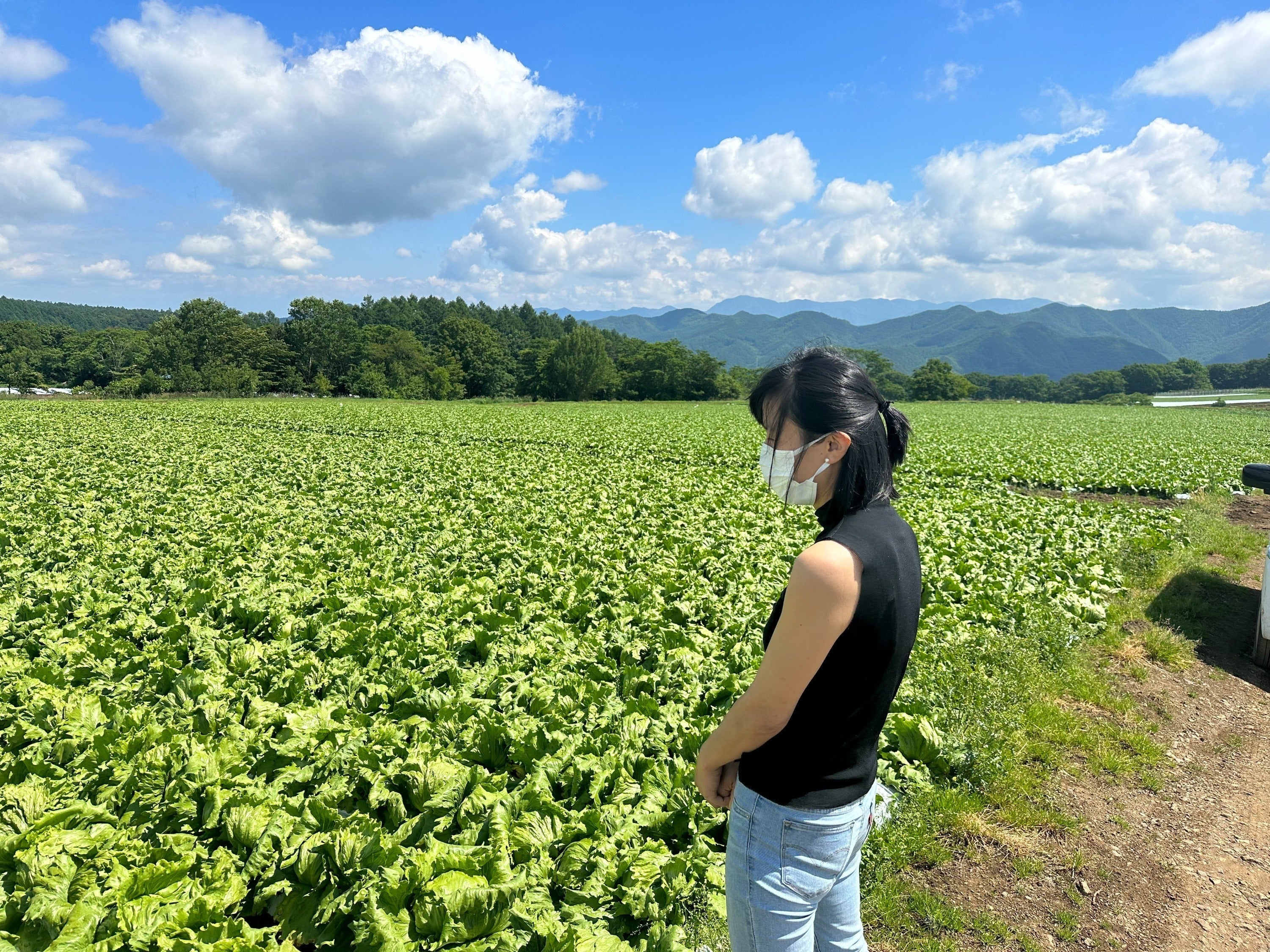 2番目のメイン画像