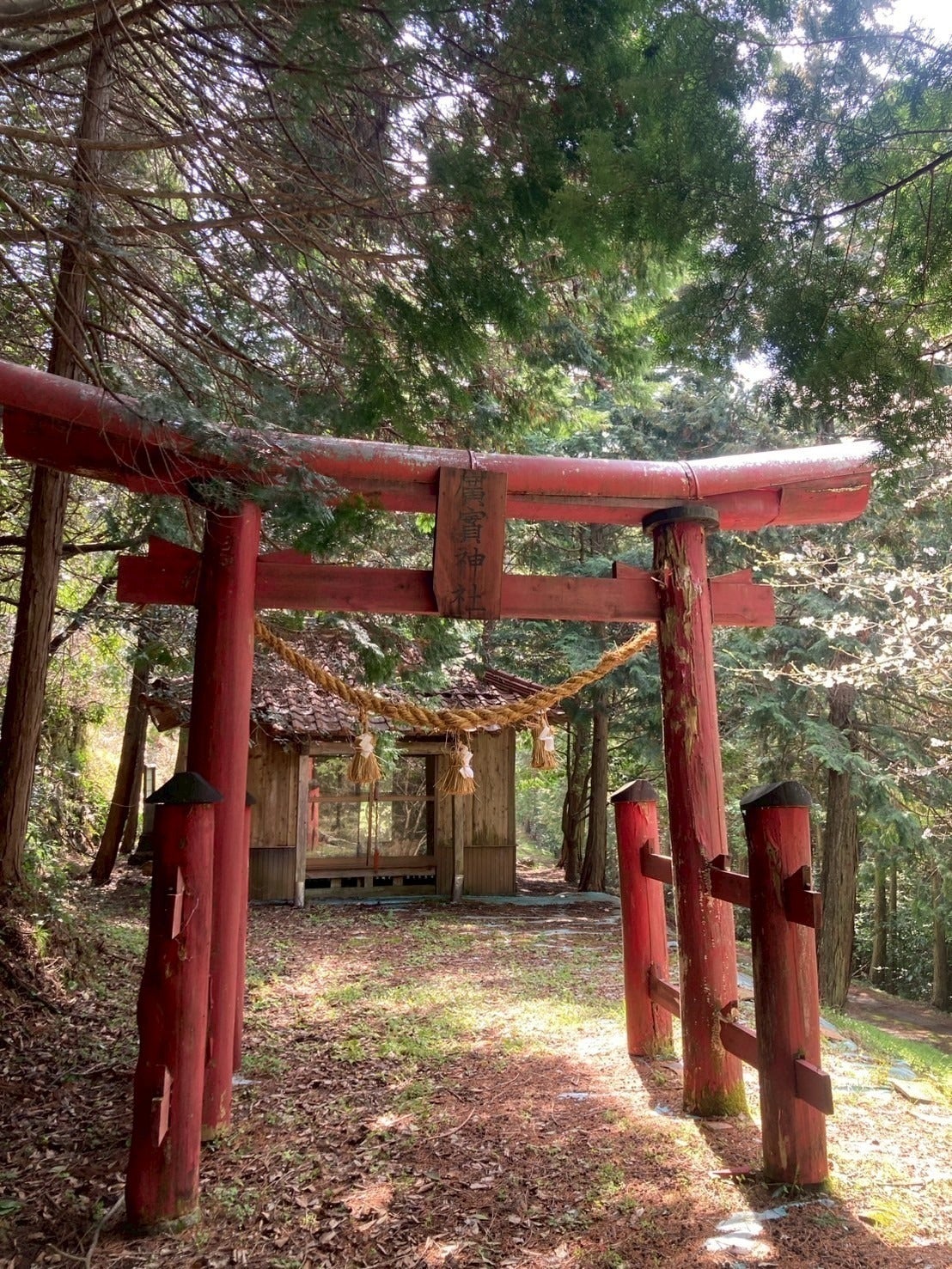 4番目のメイン画像