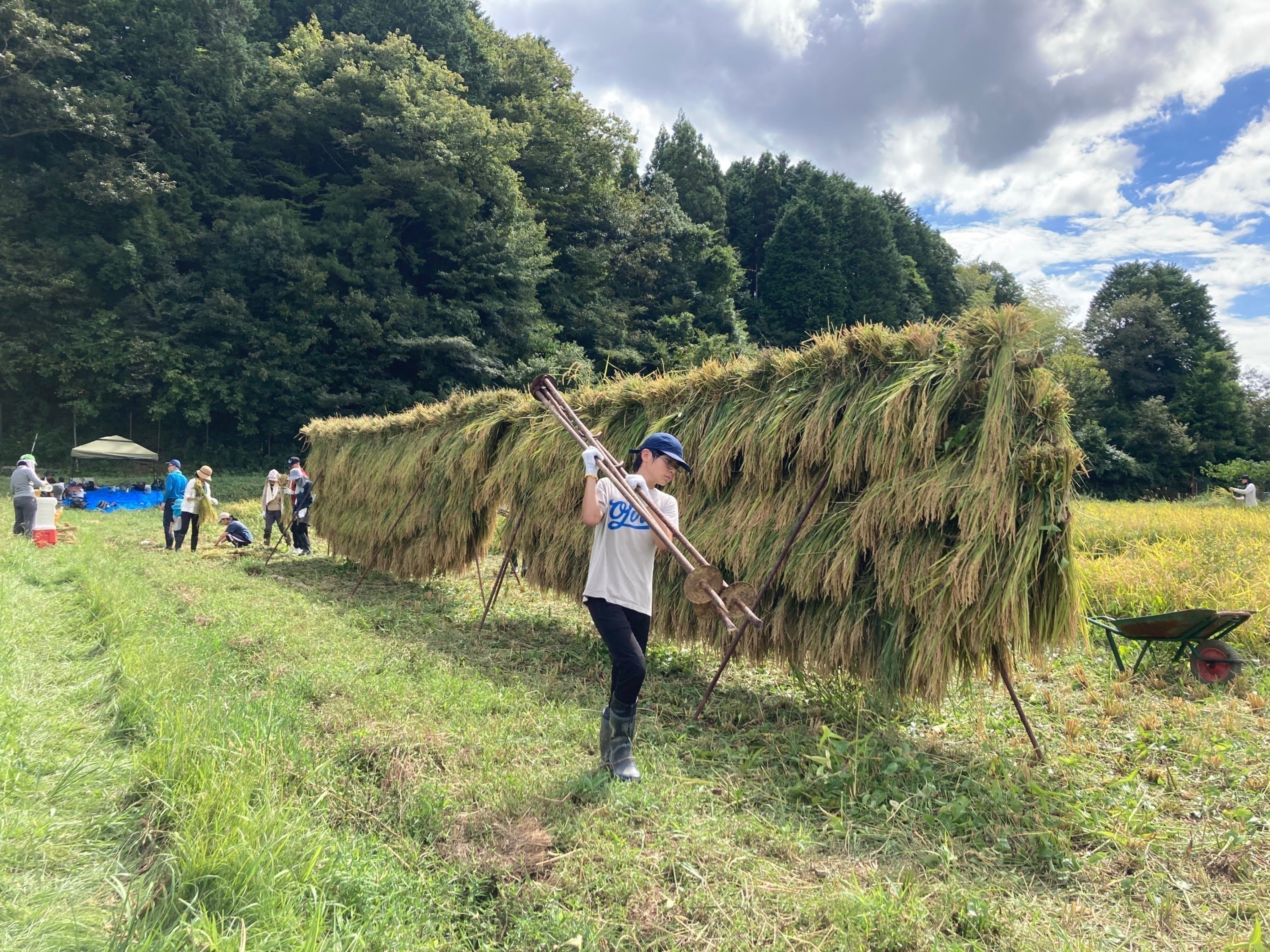 5番目のメイン画像