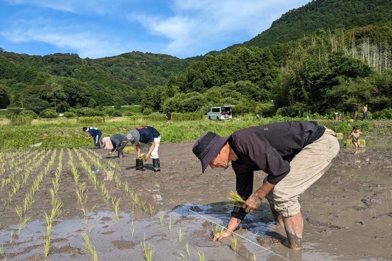 4番目のメイン画像