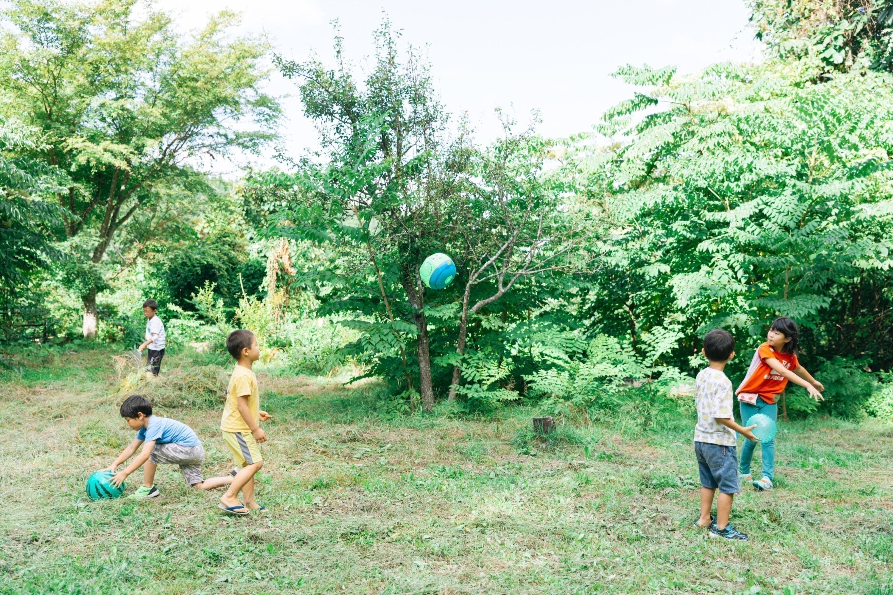 3番目のメイン画像