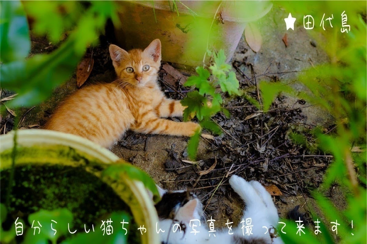 5番目のメイン画像