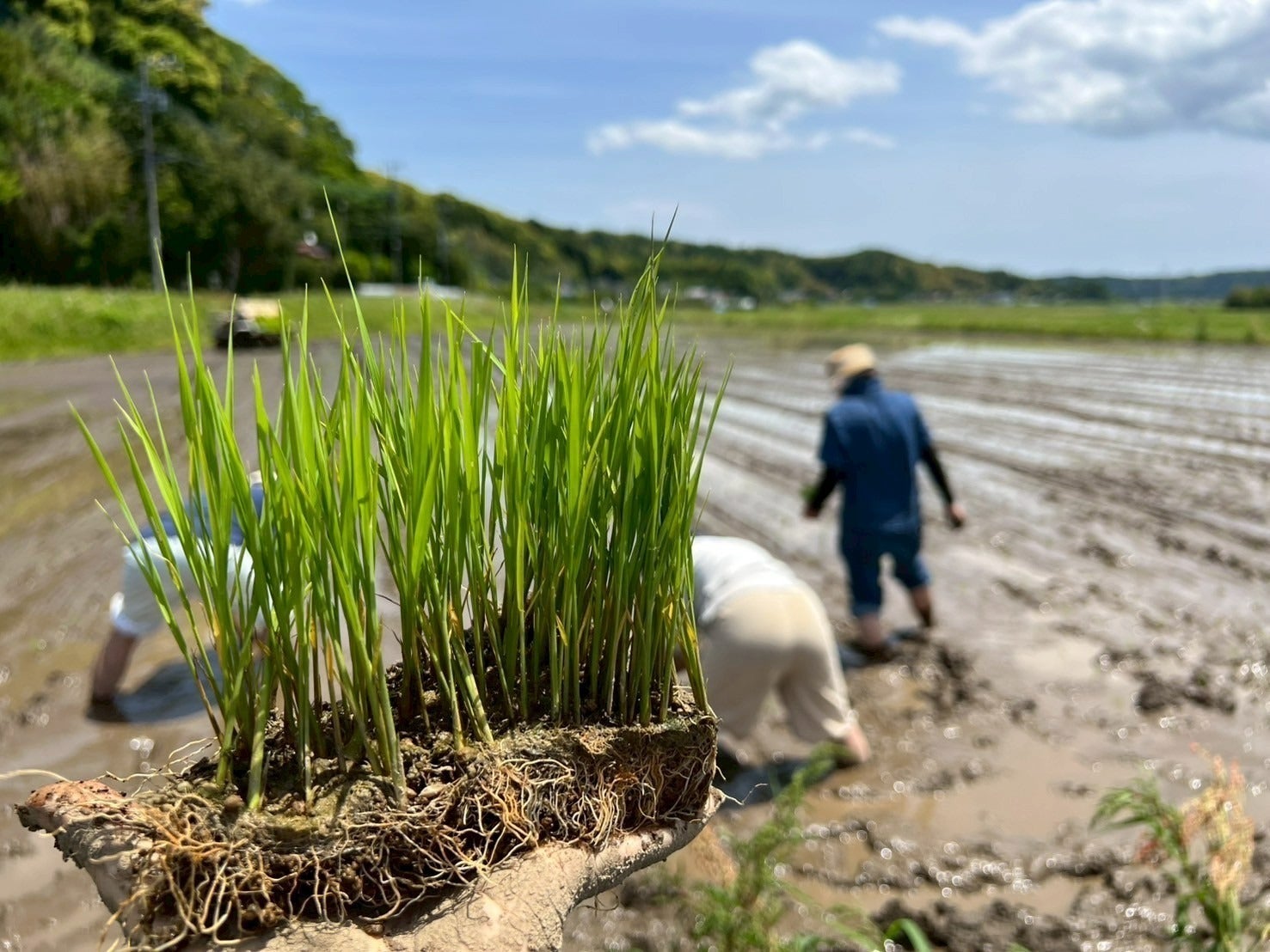 4番目のメイン画像