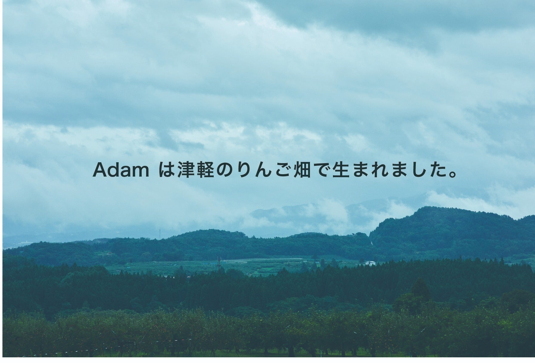 2番目のメイン画像