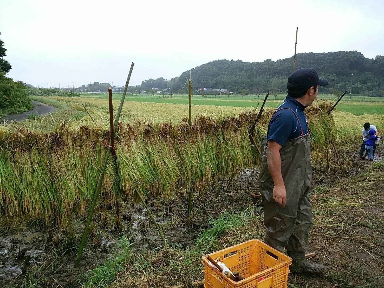 4番目のメイン画像