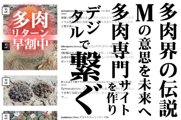 1番目のメイン画像