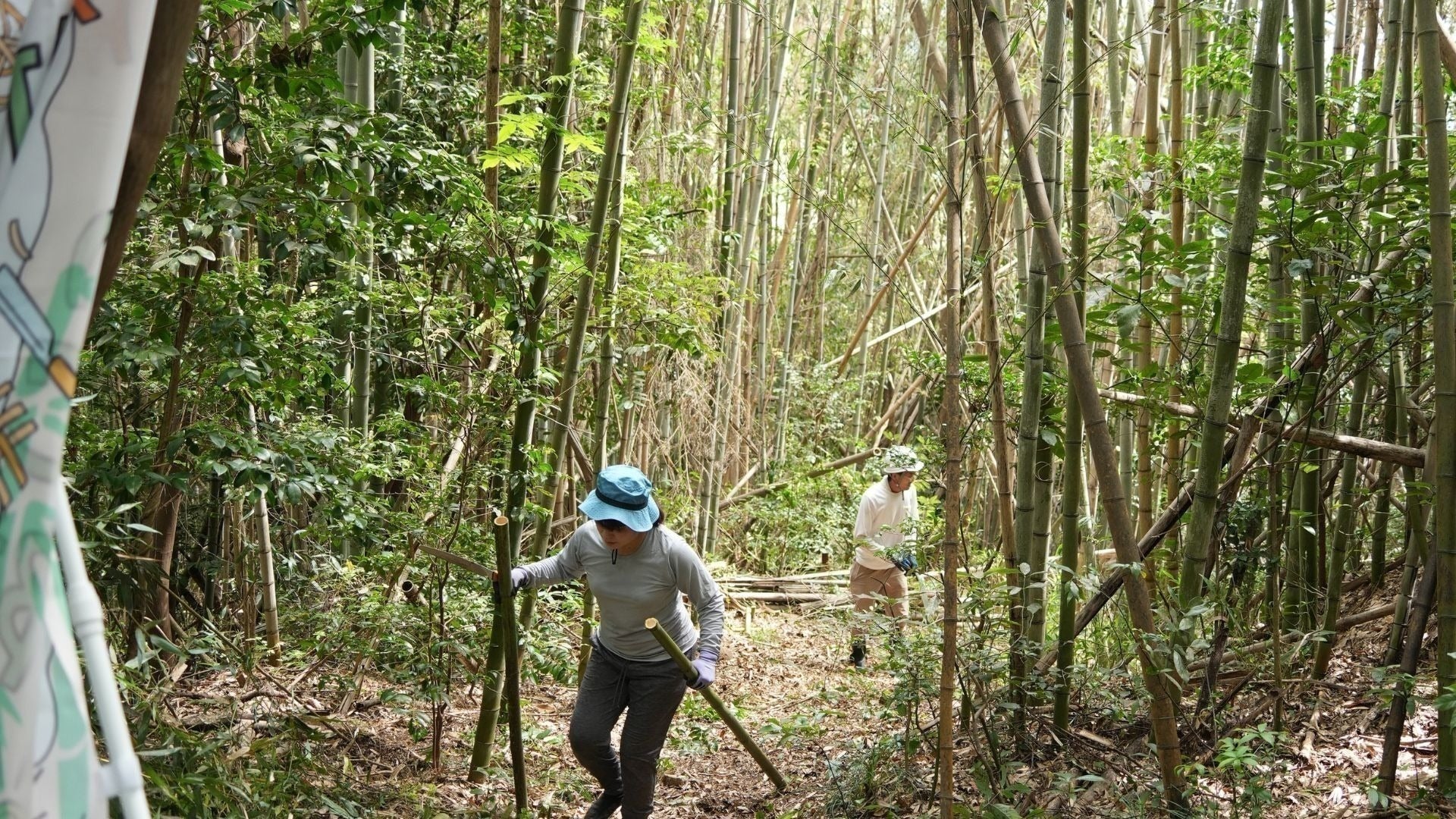 5番目のメイン画像