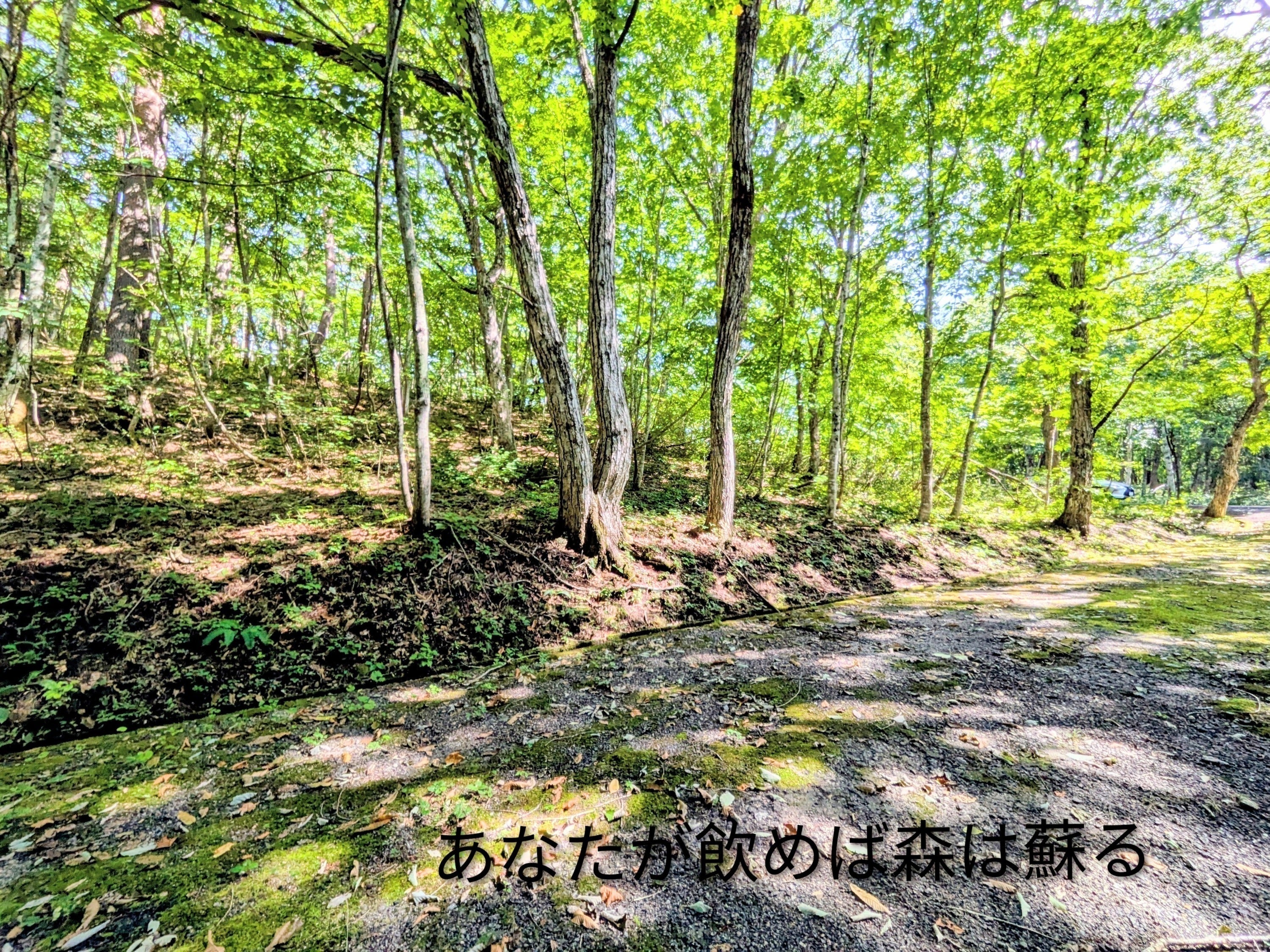 5番目のメイン画像