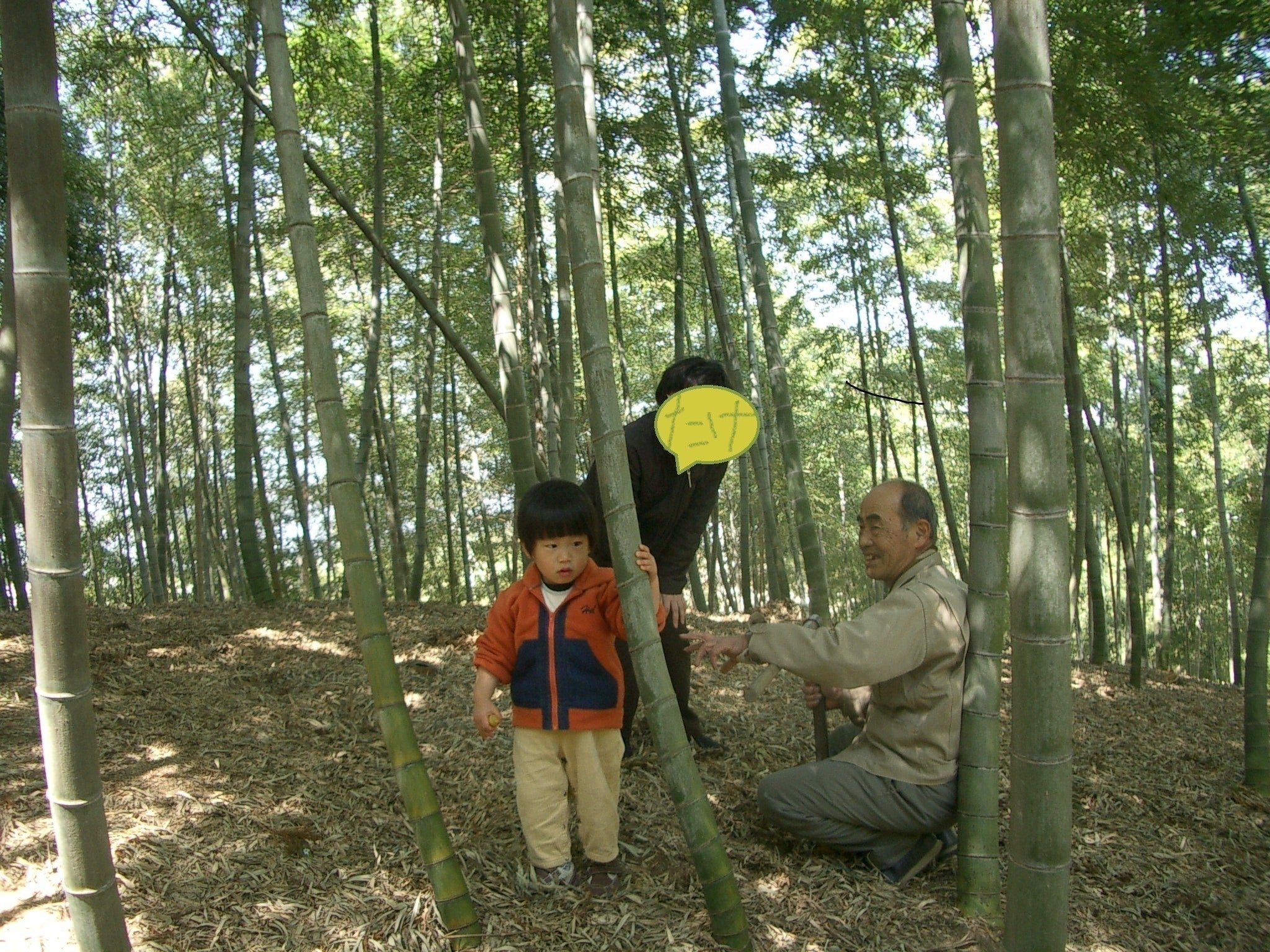 4番目のメイン画像