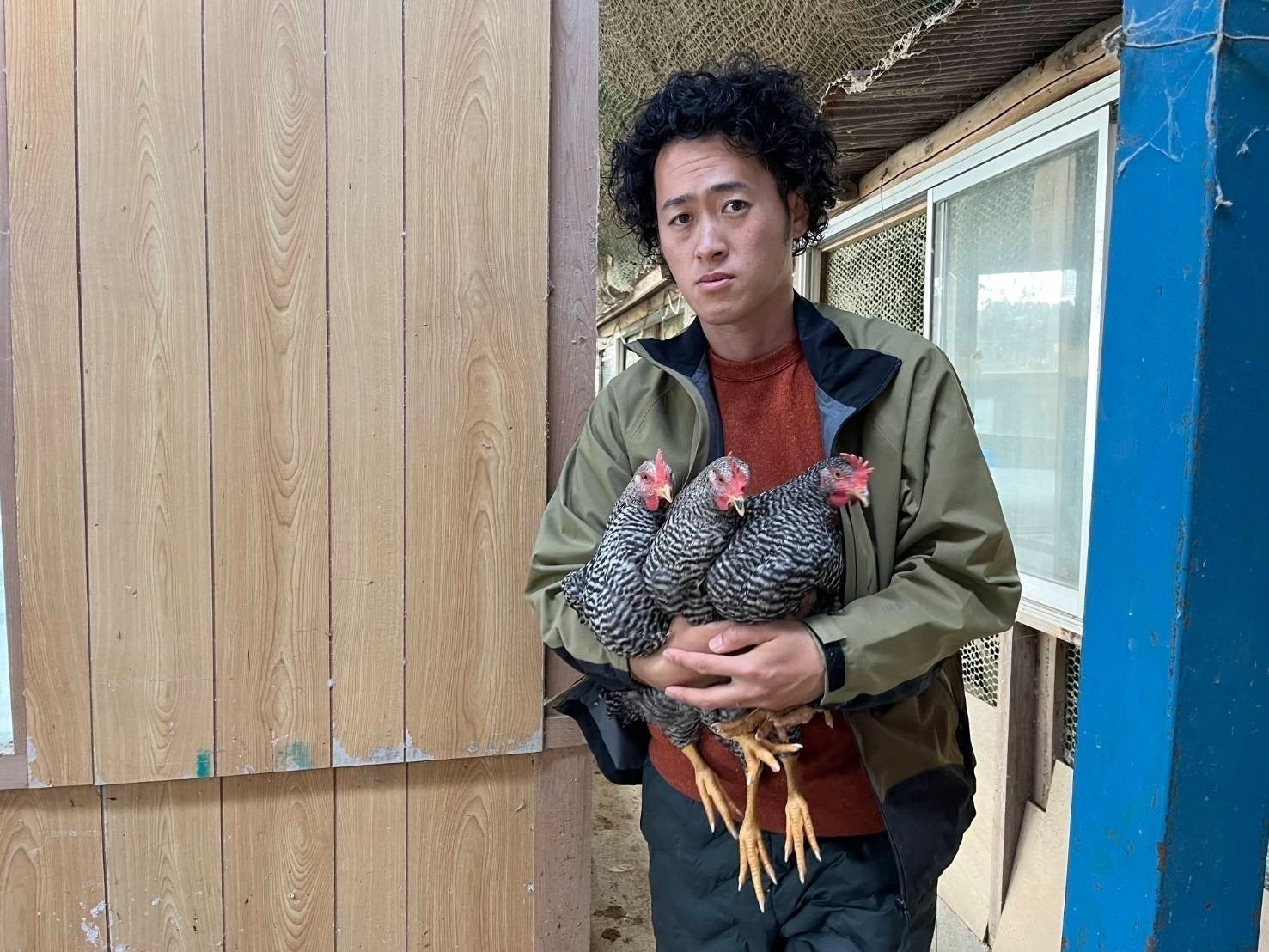 2番目のメイン画像