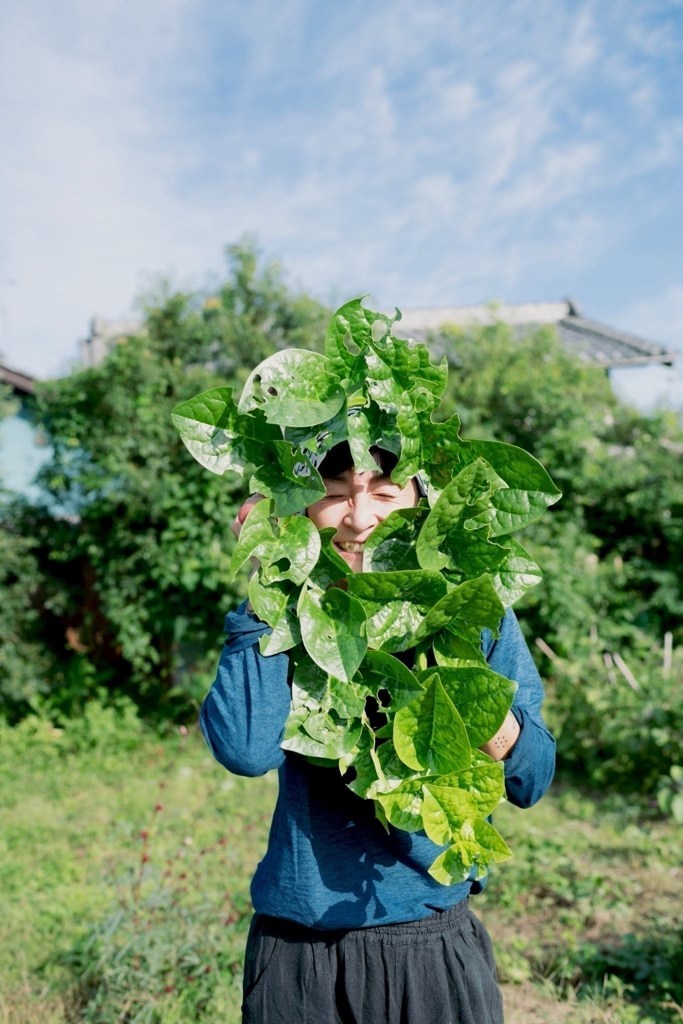 3番目のメイン画像