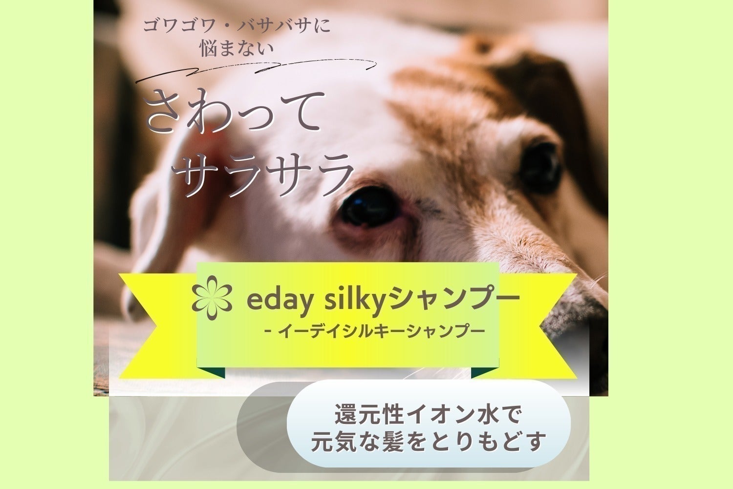 2番目のメイン画像