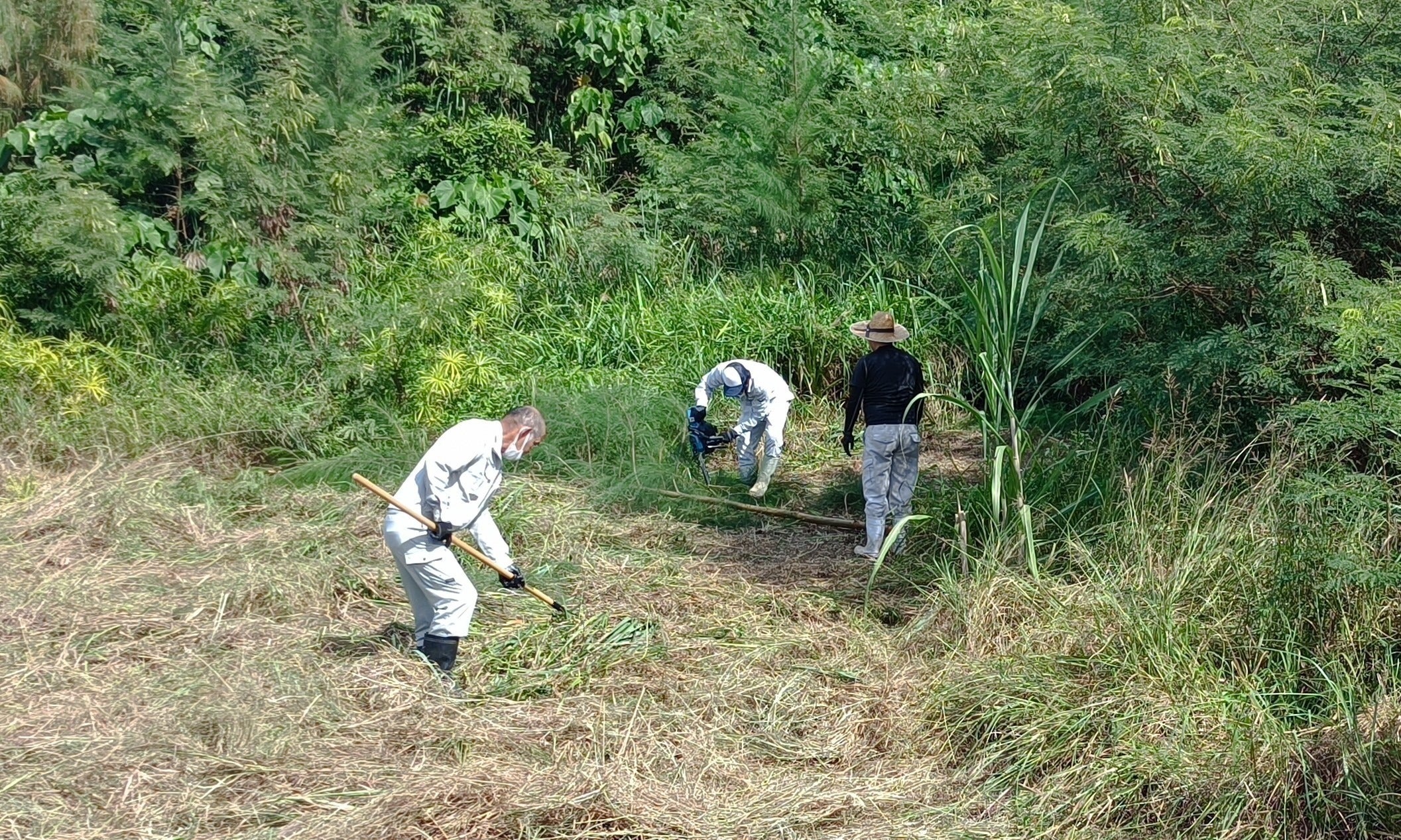 3番目のメイン画像