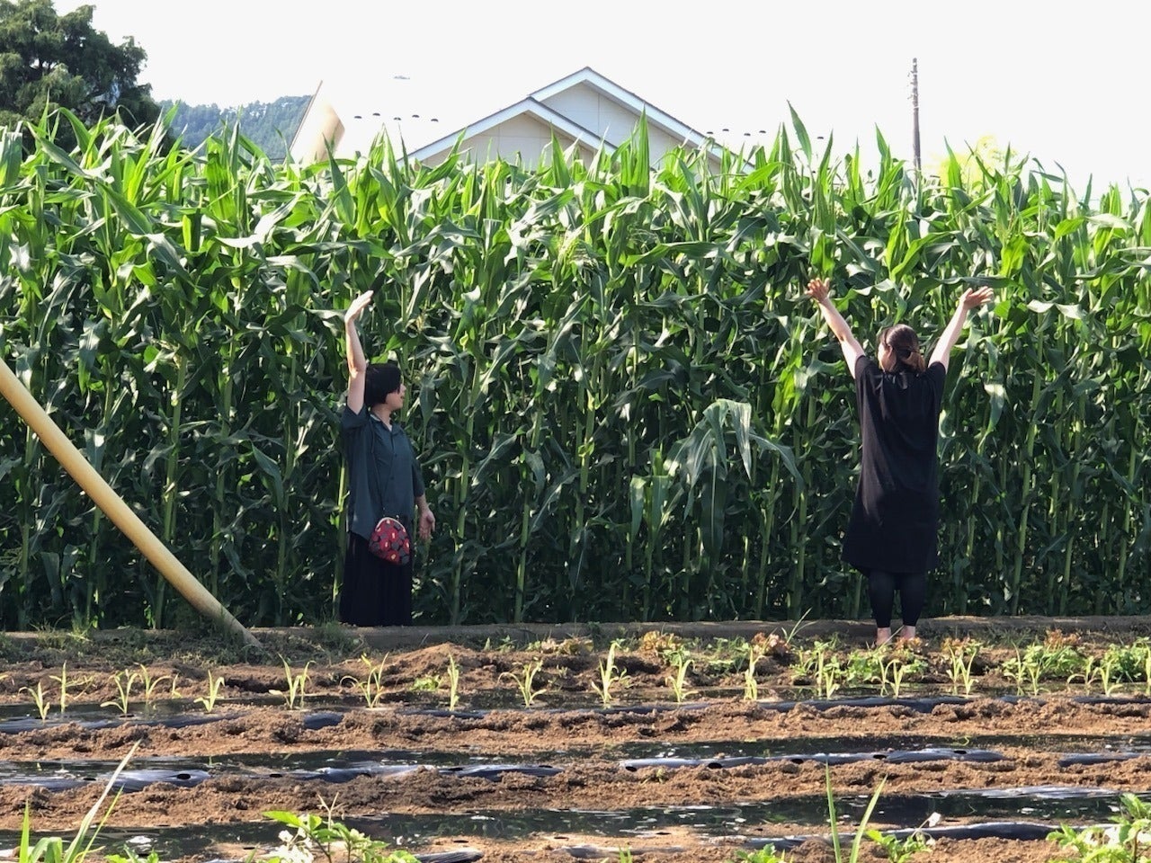 2番目のメイン画像