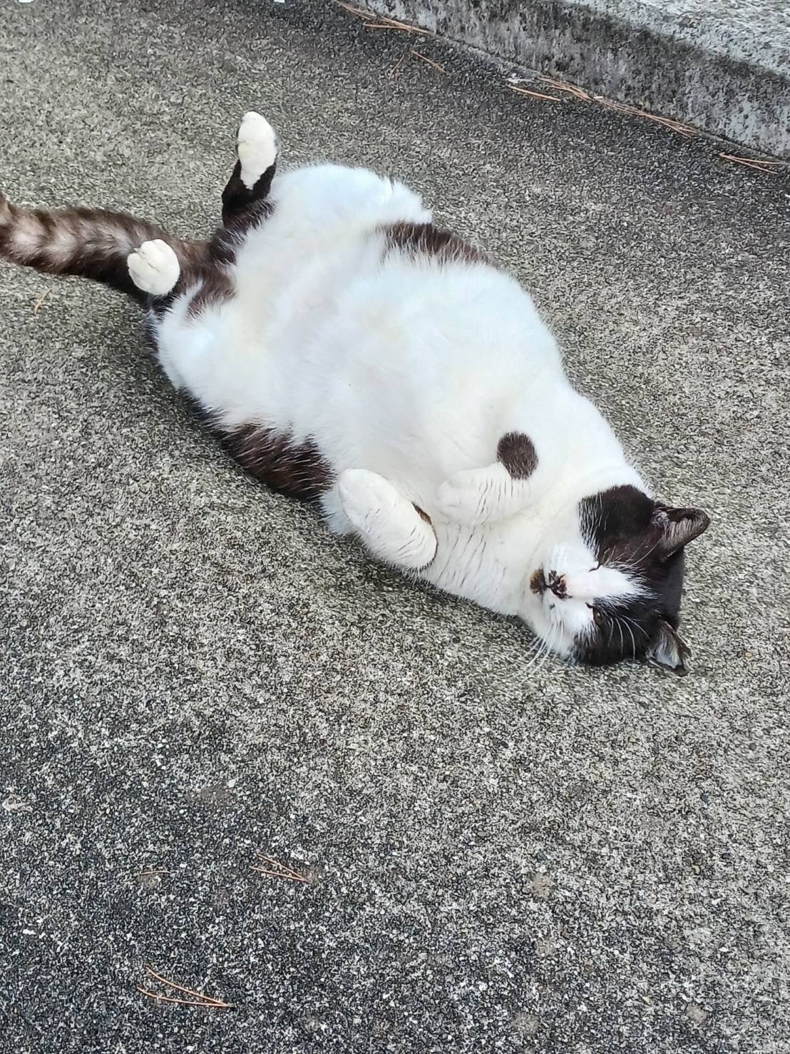 4番目のメイン画像