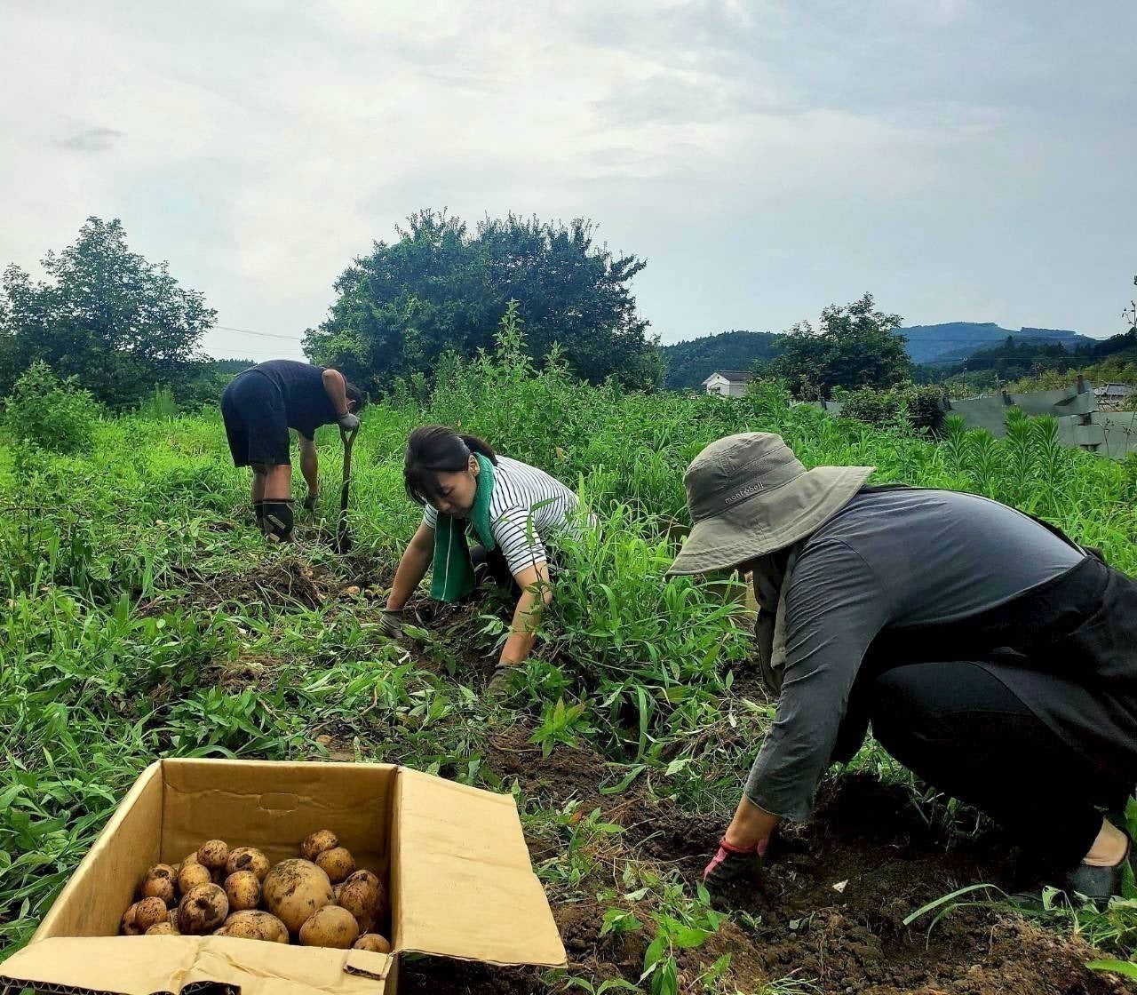 5番目のメイン画像