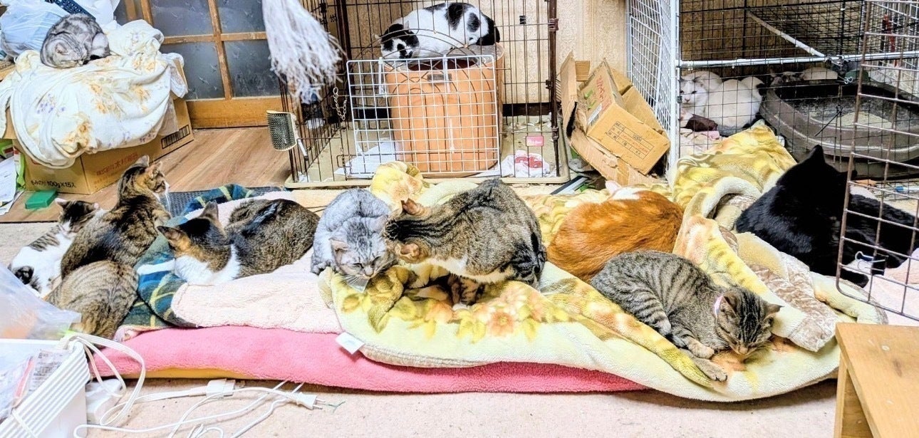 4番目のメイン画像