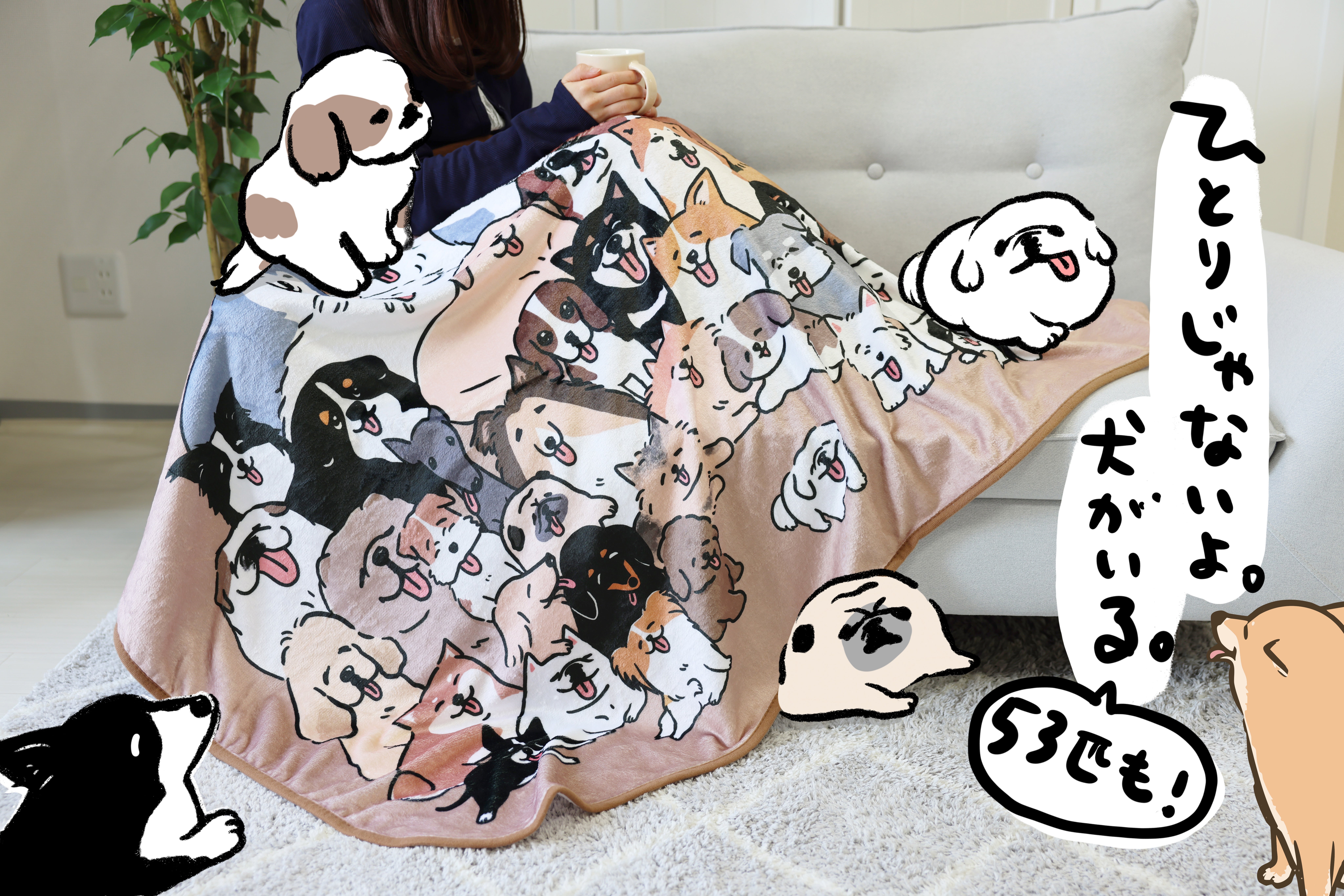 3番目のメイン画像