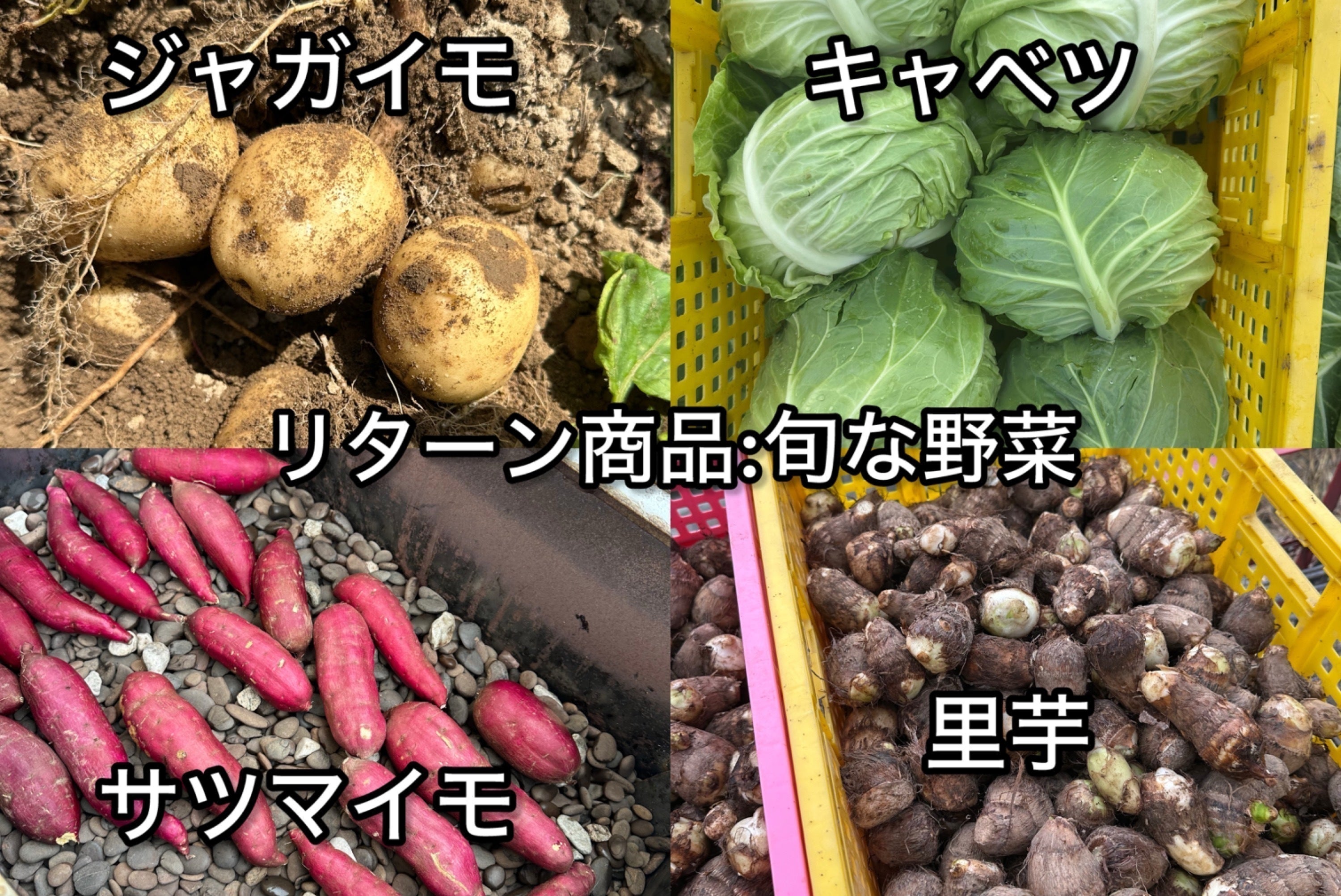 5番目のメイン画像