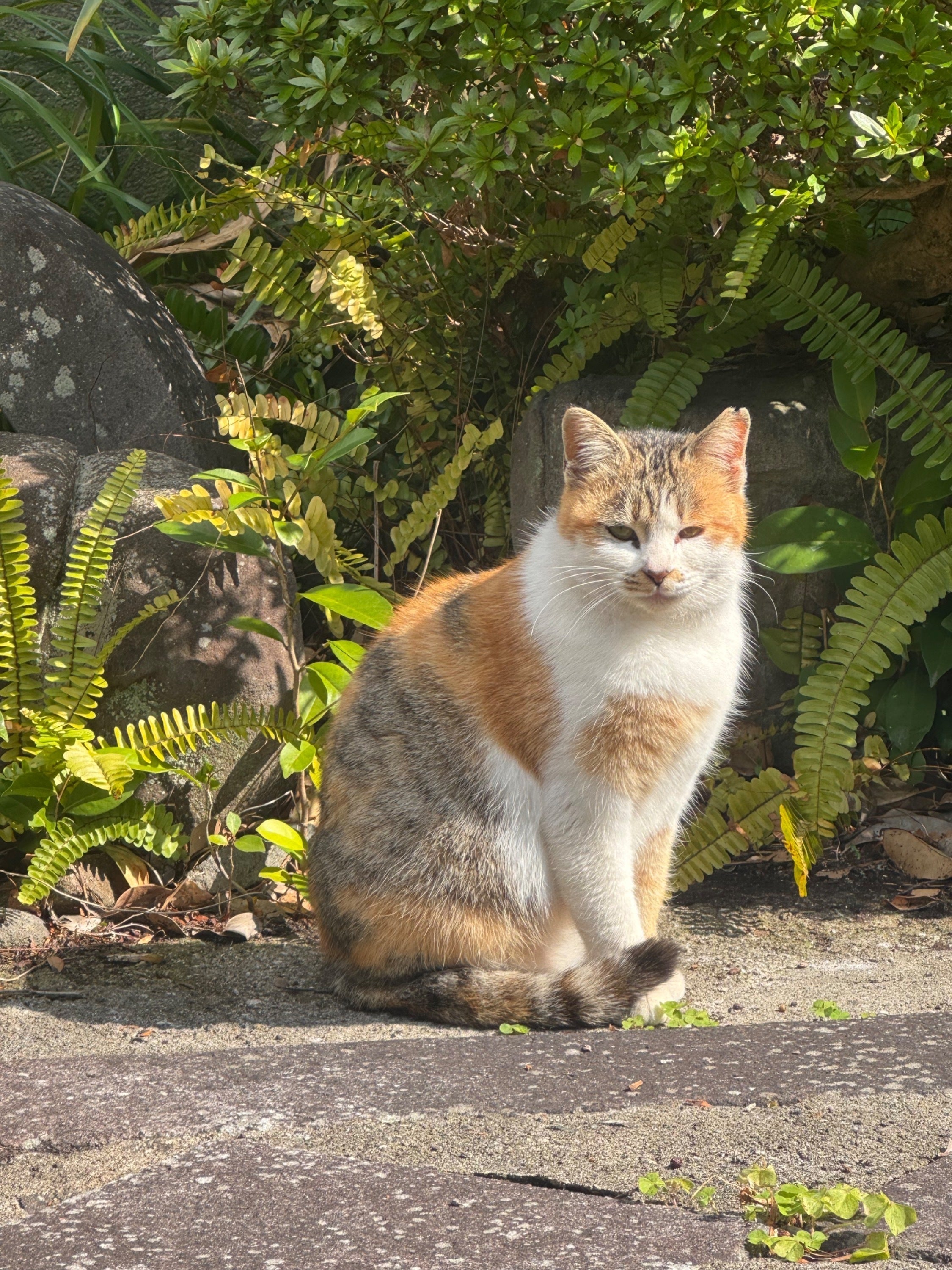 5番目のメイン画像