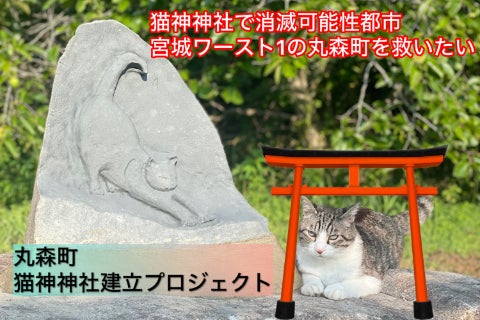 猫たちの幸せを考える！あったかエンタメ記事