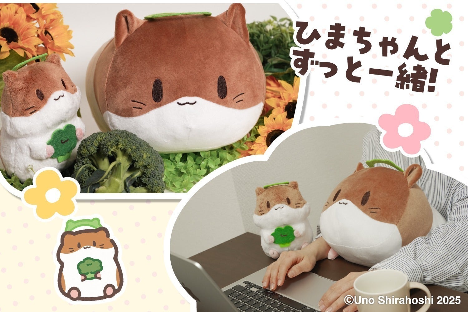 5番目のメイン画像