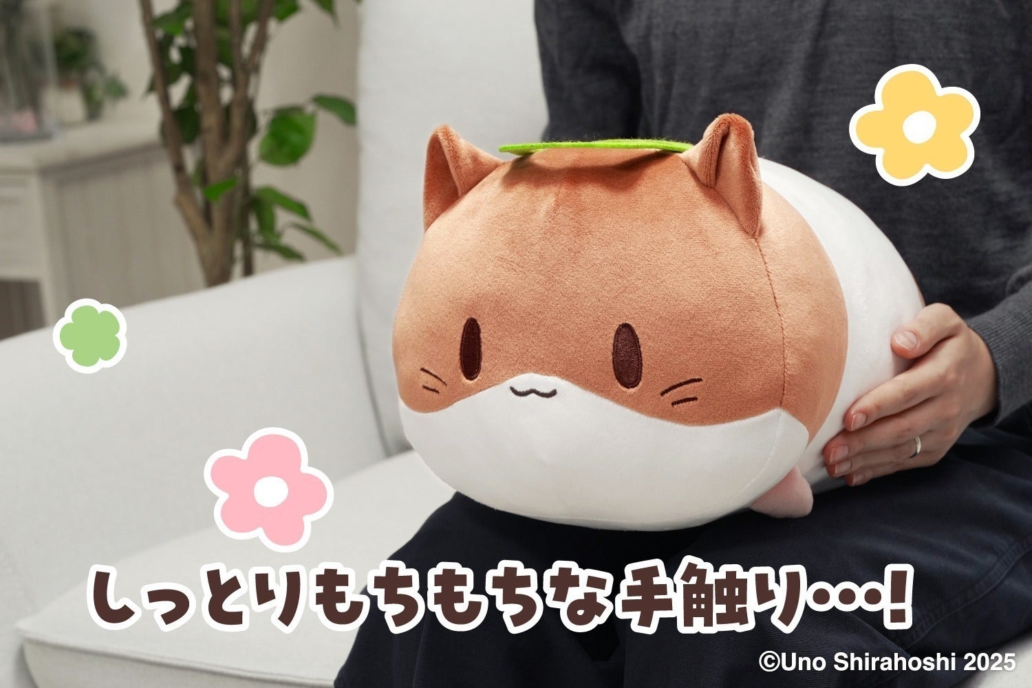 3番目のメイン画像