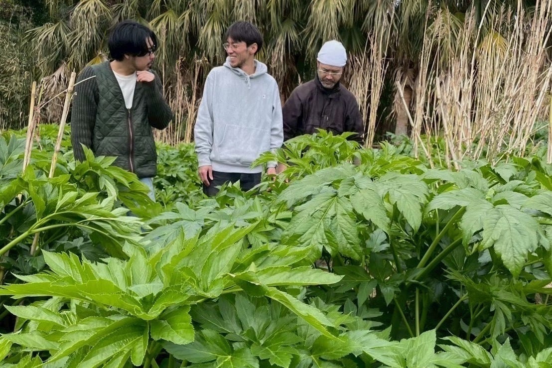 5番目のメイン画像