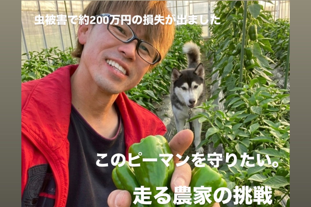 1番目のメイン画像