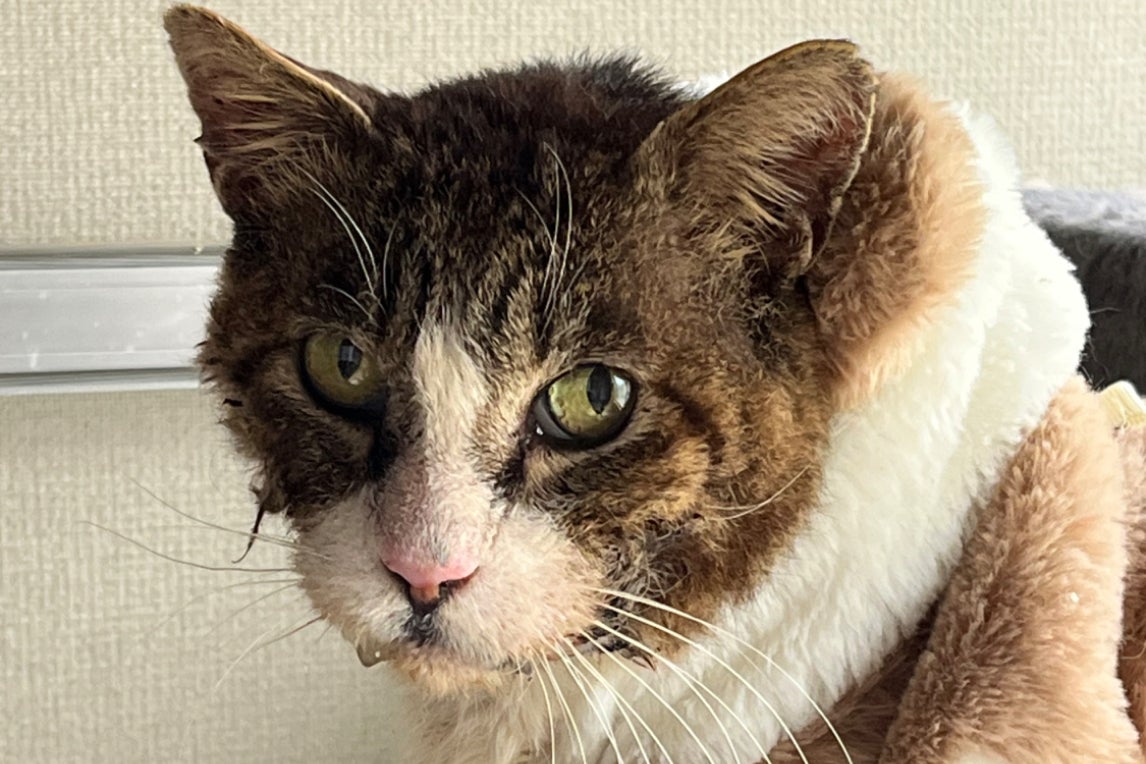 1番目のメイン画像