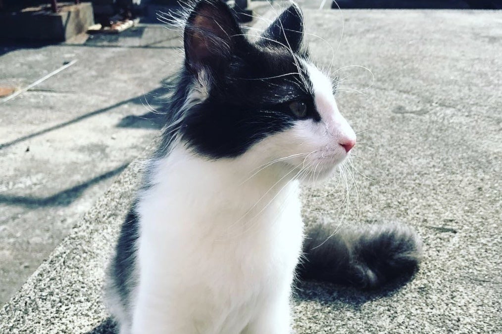 1番目のメイン画像