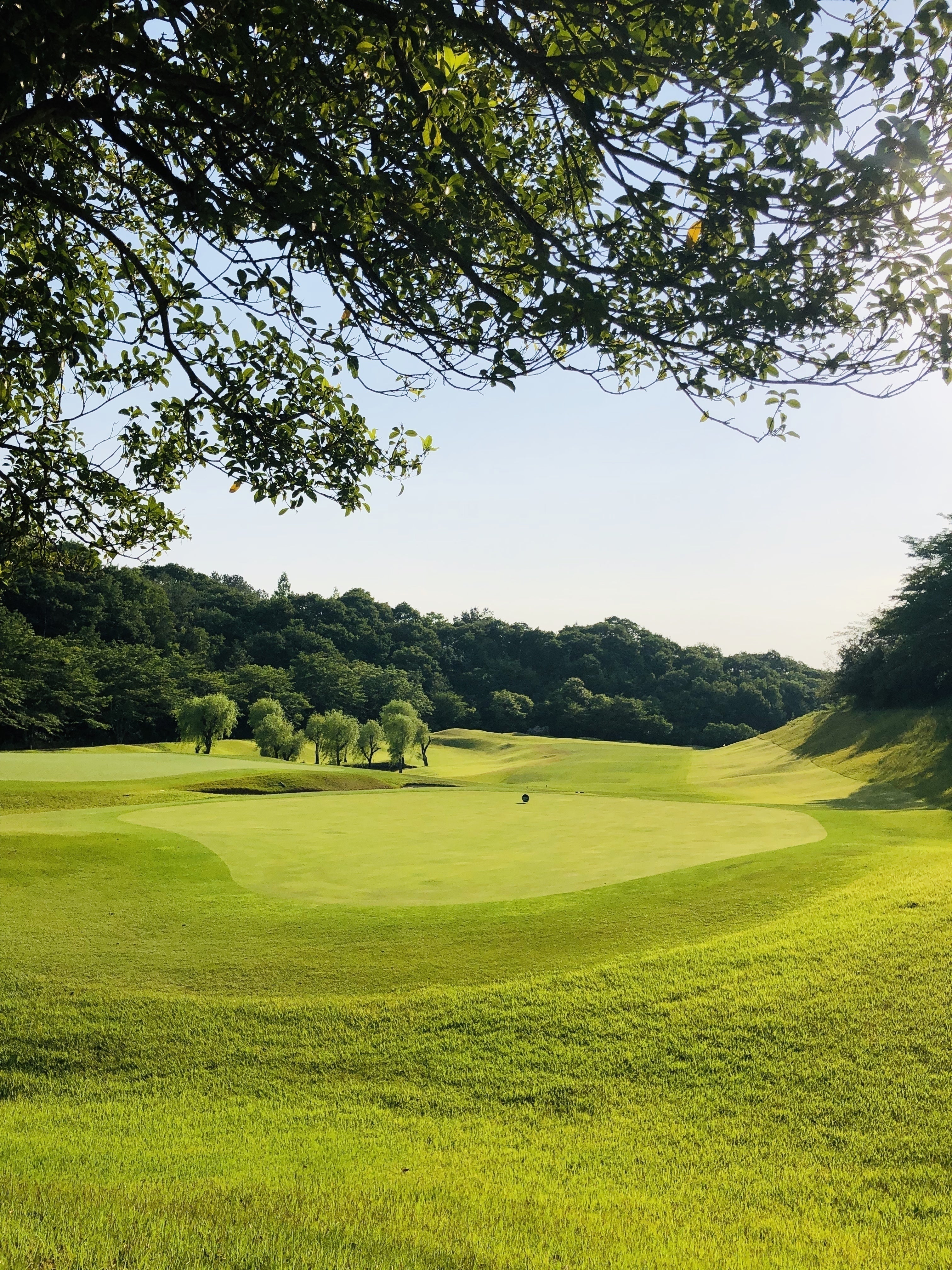 5番目のメイン画像