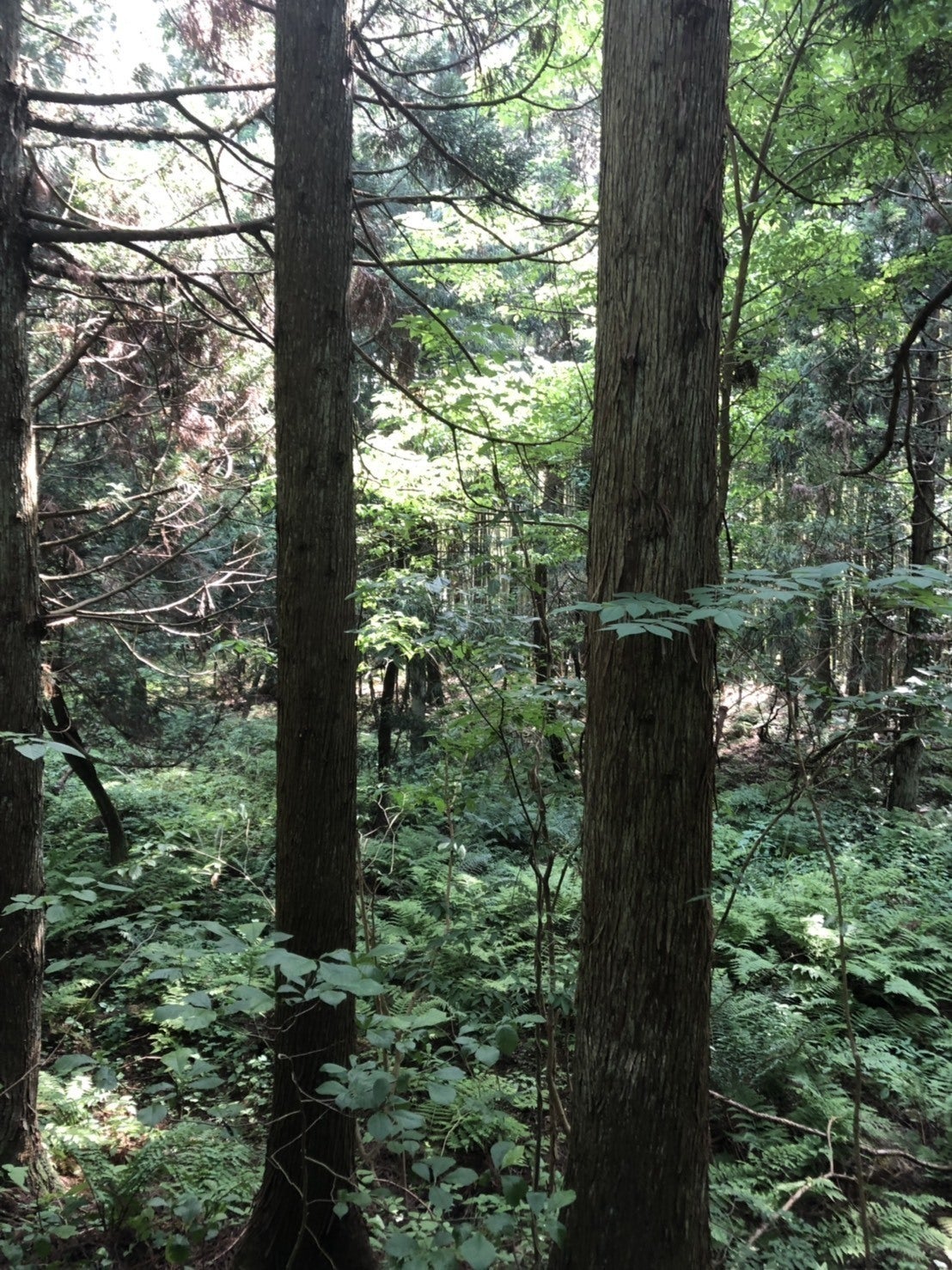 4番目のメイン画像