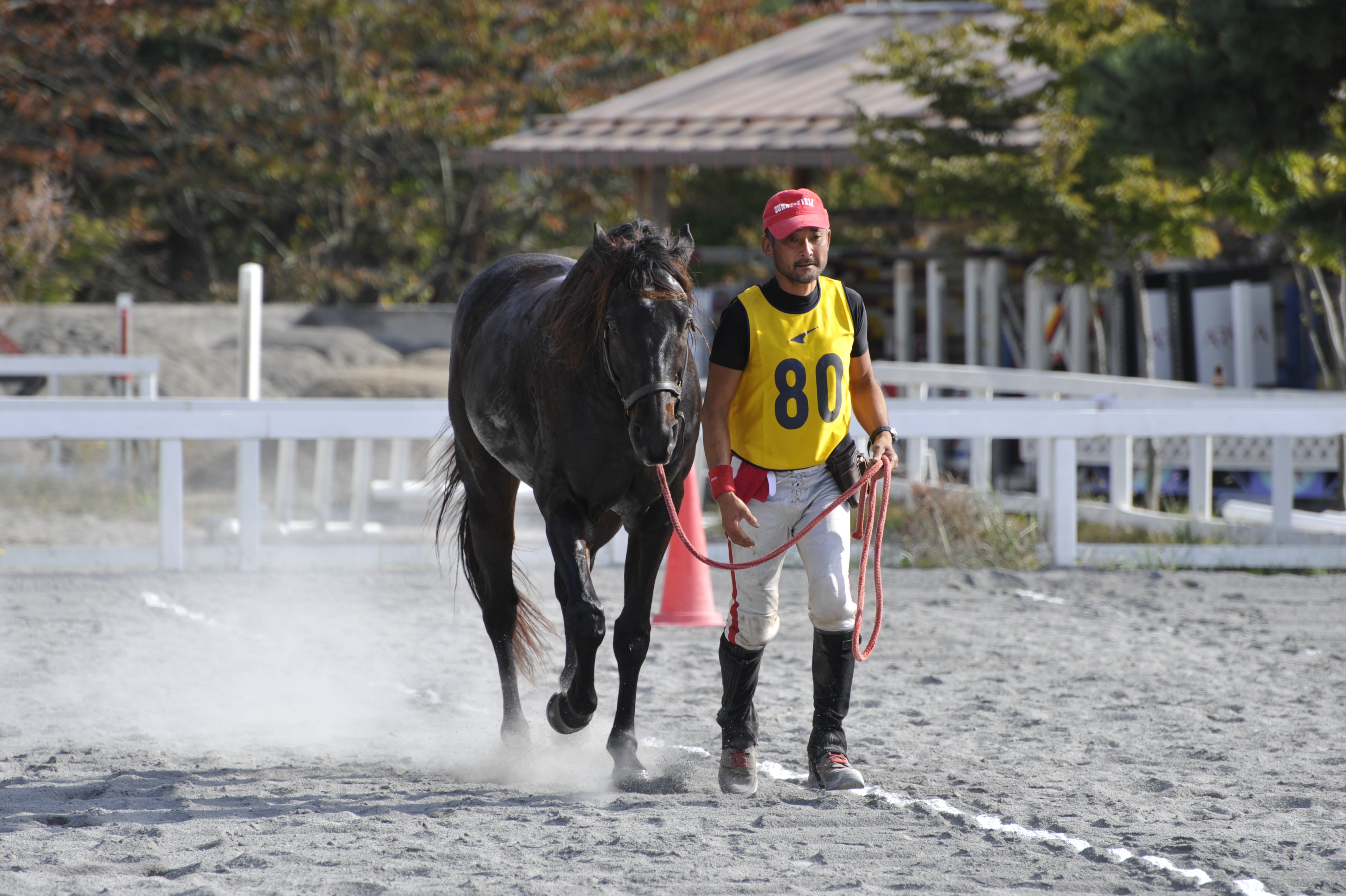 4番目のメイン画像