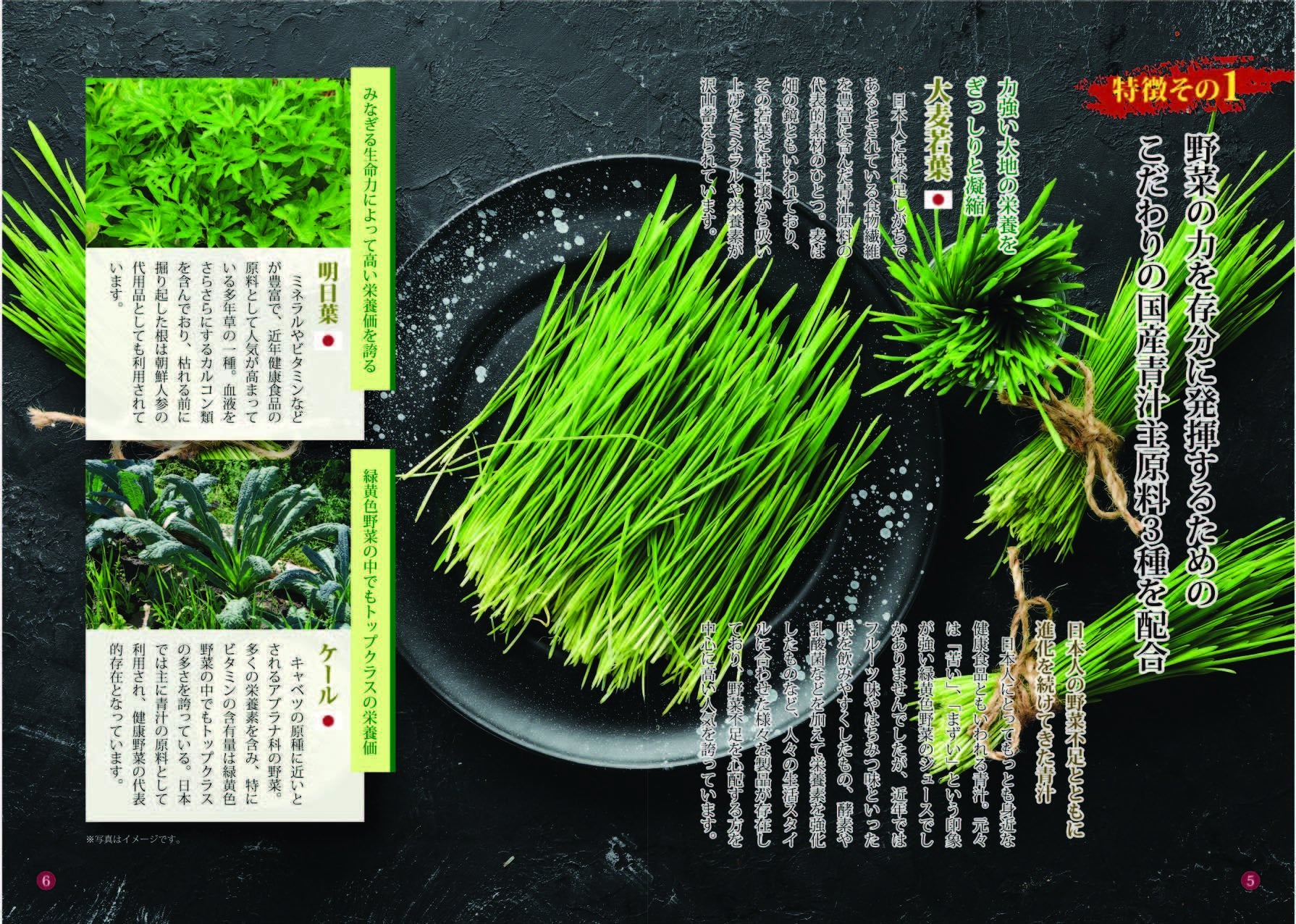 2番目のメイン画像