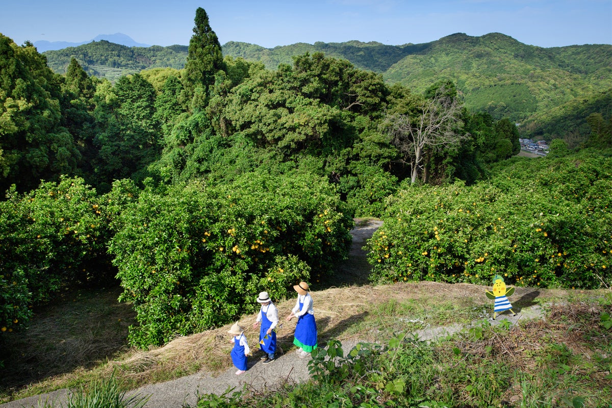 2番目のメイン画像