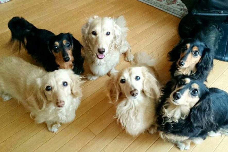 1番目のメイン画像