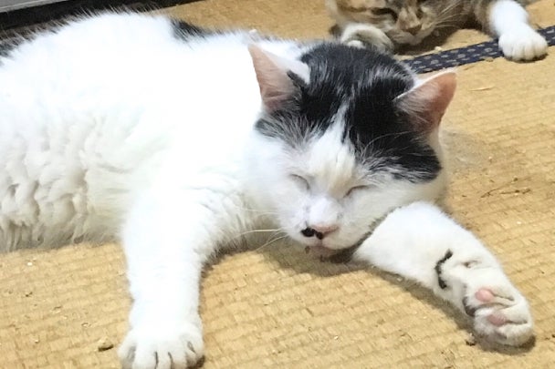 1番目のメイン画像